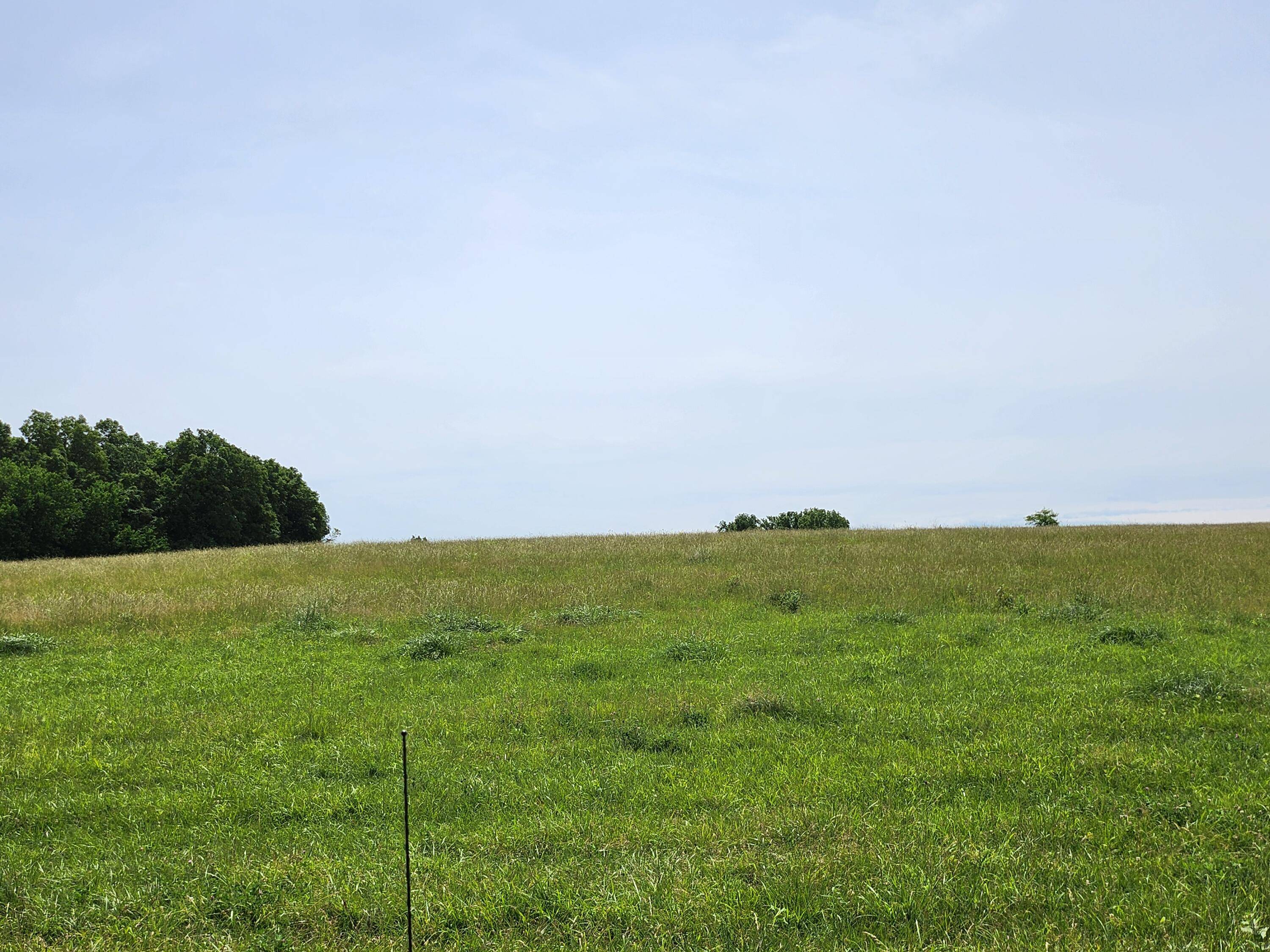 Lot 13 N Farm Road 61, Walnut Grove, MO 65770