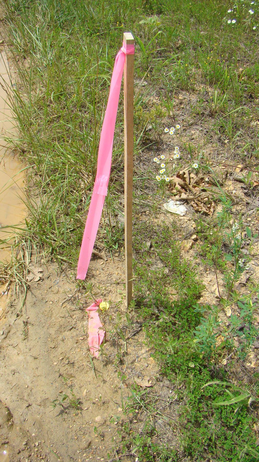 Tbd State Route Y, Mountain View, MO 65548
