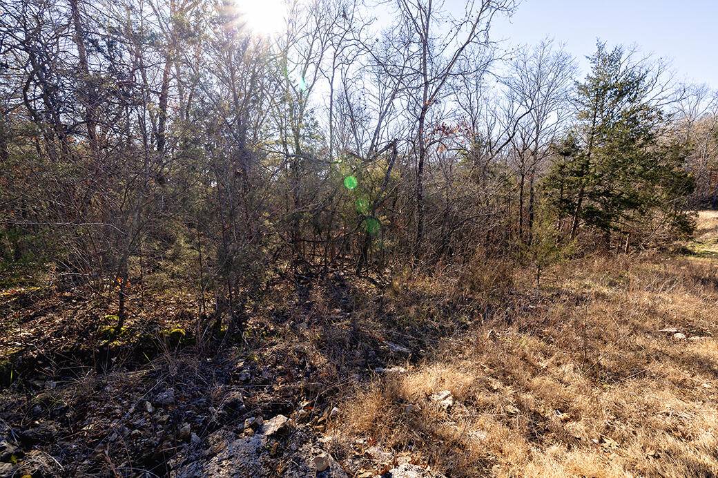 Lot 4 Sandstone RD, Merriam Woods, MO 65740