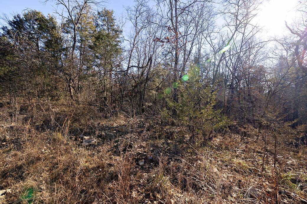 Lot 4 Sandstone RD, Merriam Woods, MO 65740