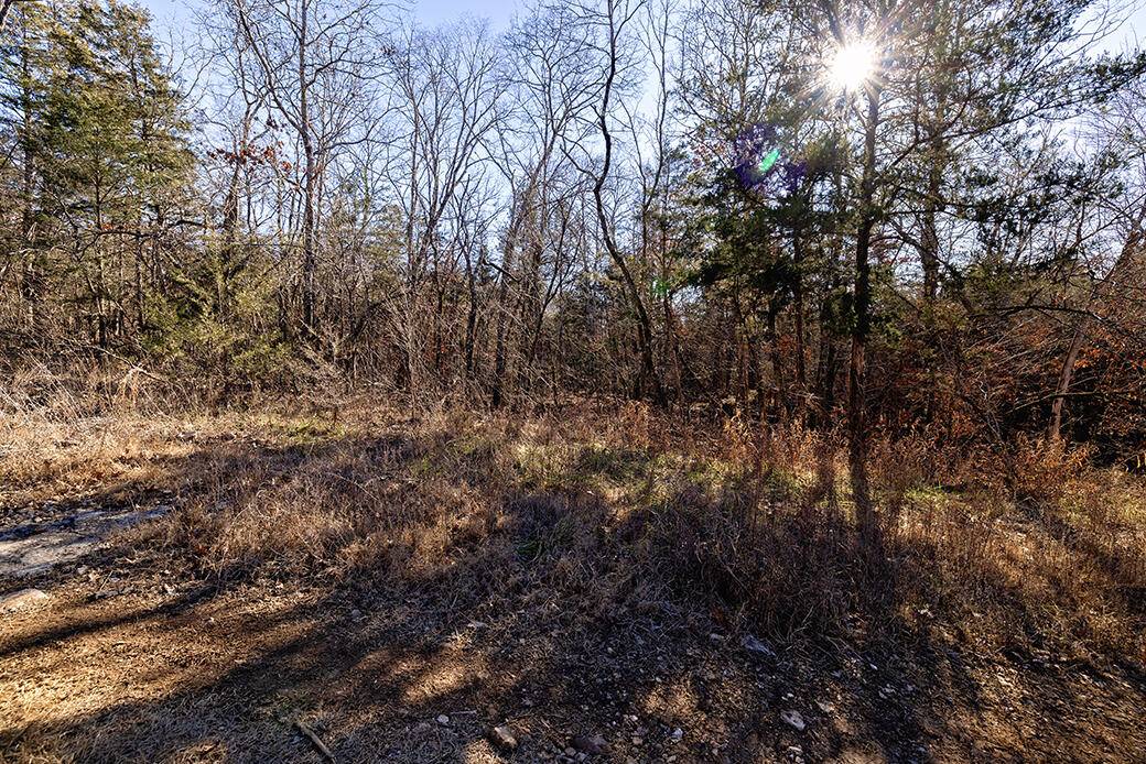 Lot 4 Sandstone RD, Merriam Woods, MO 65740