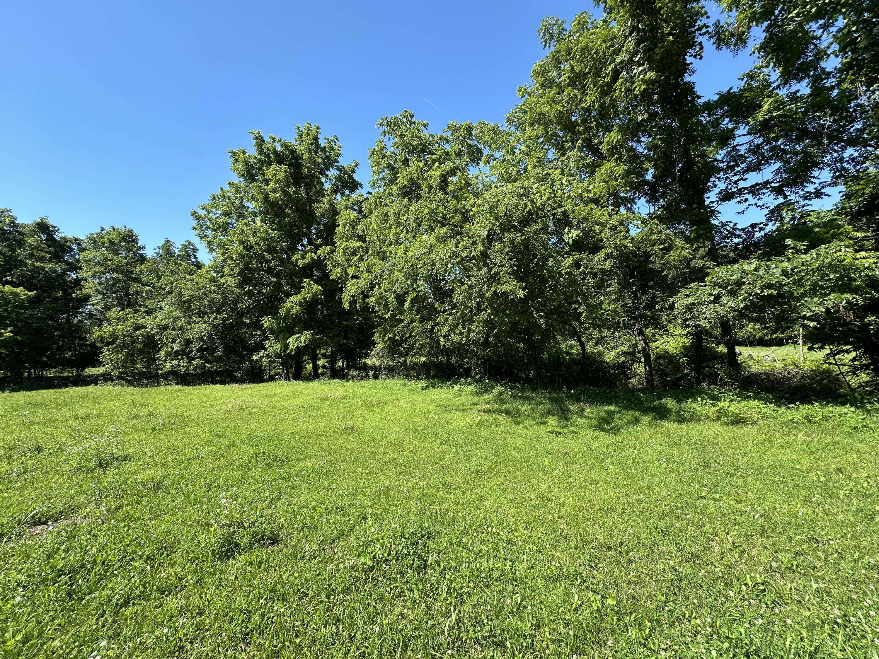 443 Marsha RD, Billings, MO 65610