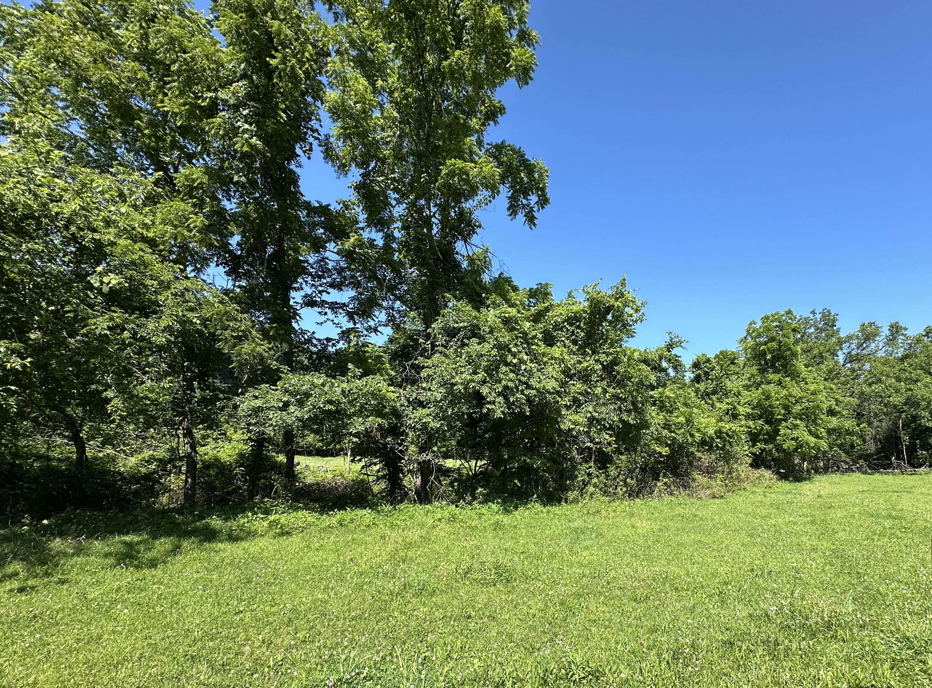443 Marsha RD, Billings, MO 65610