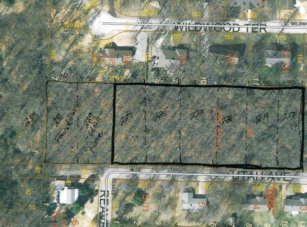 215 Or 217 S. Utah Ave, West Plains, MO 65775