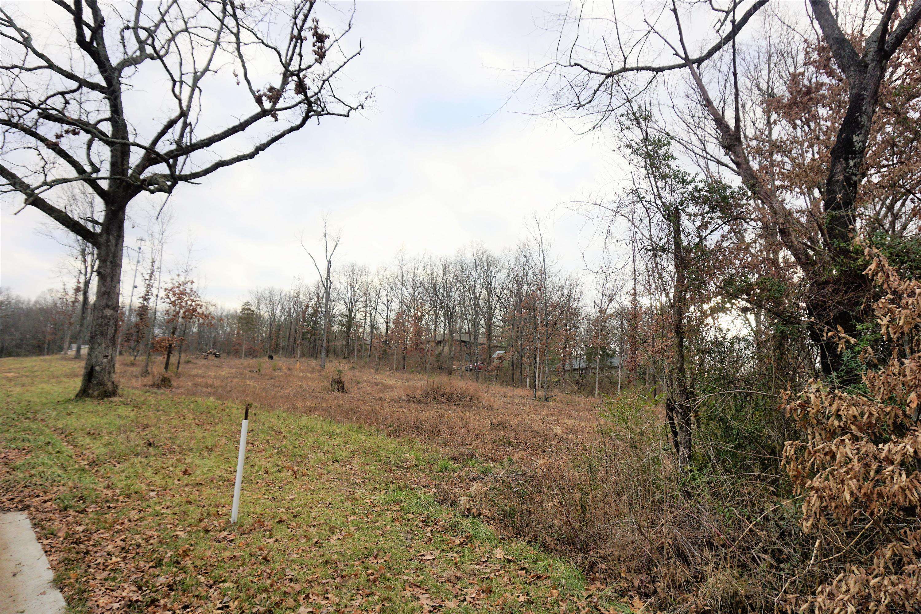 215 Or 217 S. Utah Ave, West Plains, MO 65775