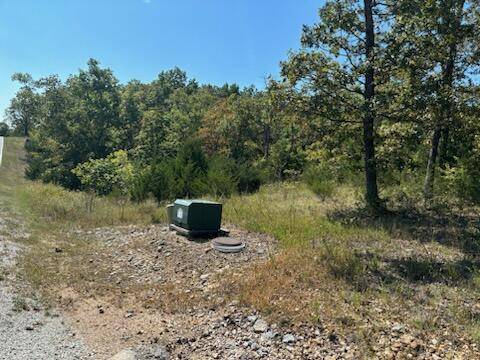 Lot 205 Black Forest LN, Branson West, MO 65737