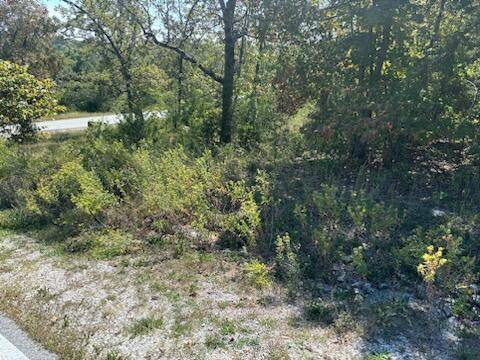 Lot 205 Black Forest LN, Branson West, MO 65737