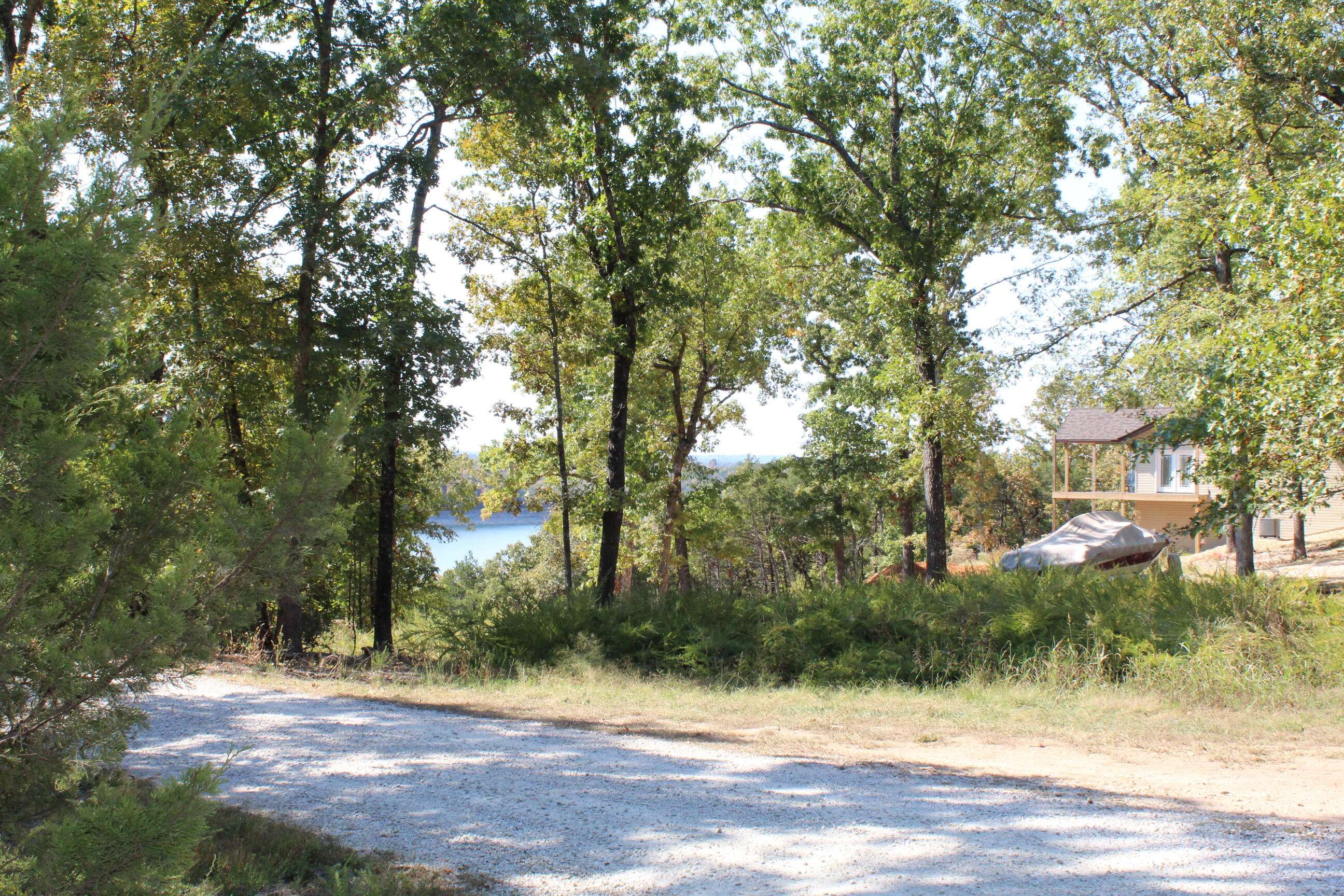 000 Blue Lake DR #Lot 26, Protem, MO 65733