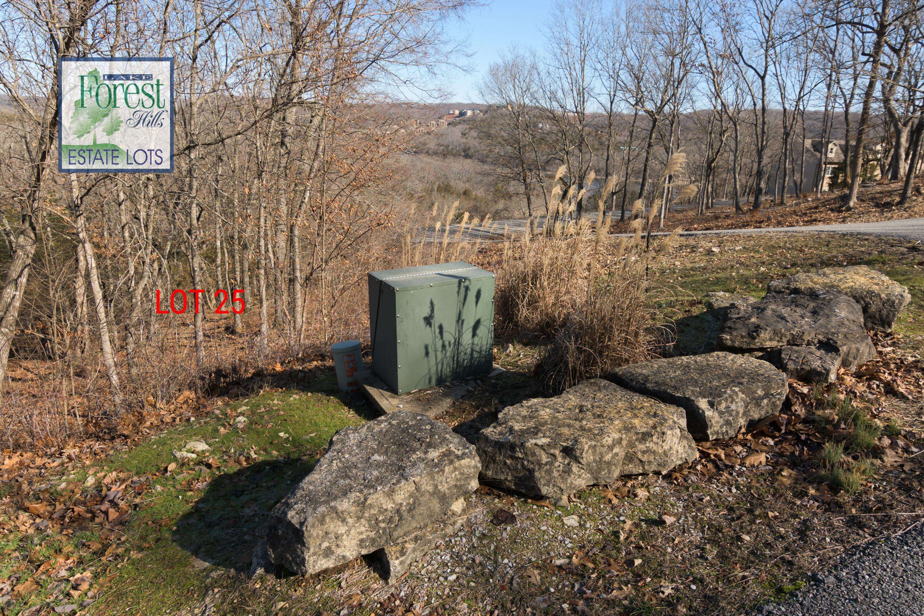 Lot 25 Trail New LN, Branson West, MO 65737