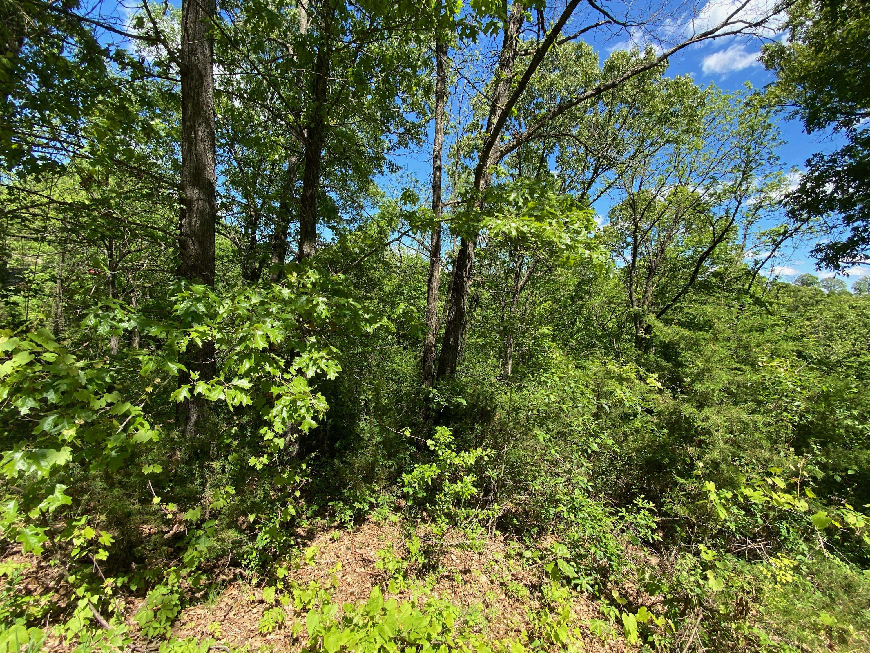 0 Mule Barn DR, Cape Fair, MO 65624