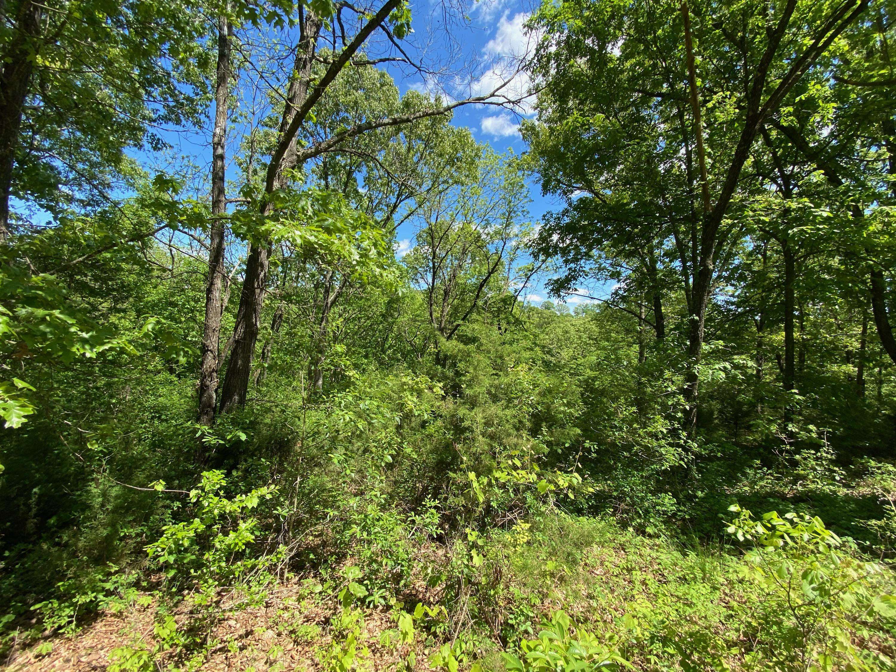 0 Mule Barn DR, Cape Fair, MO 65624