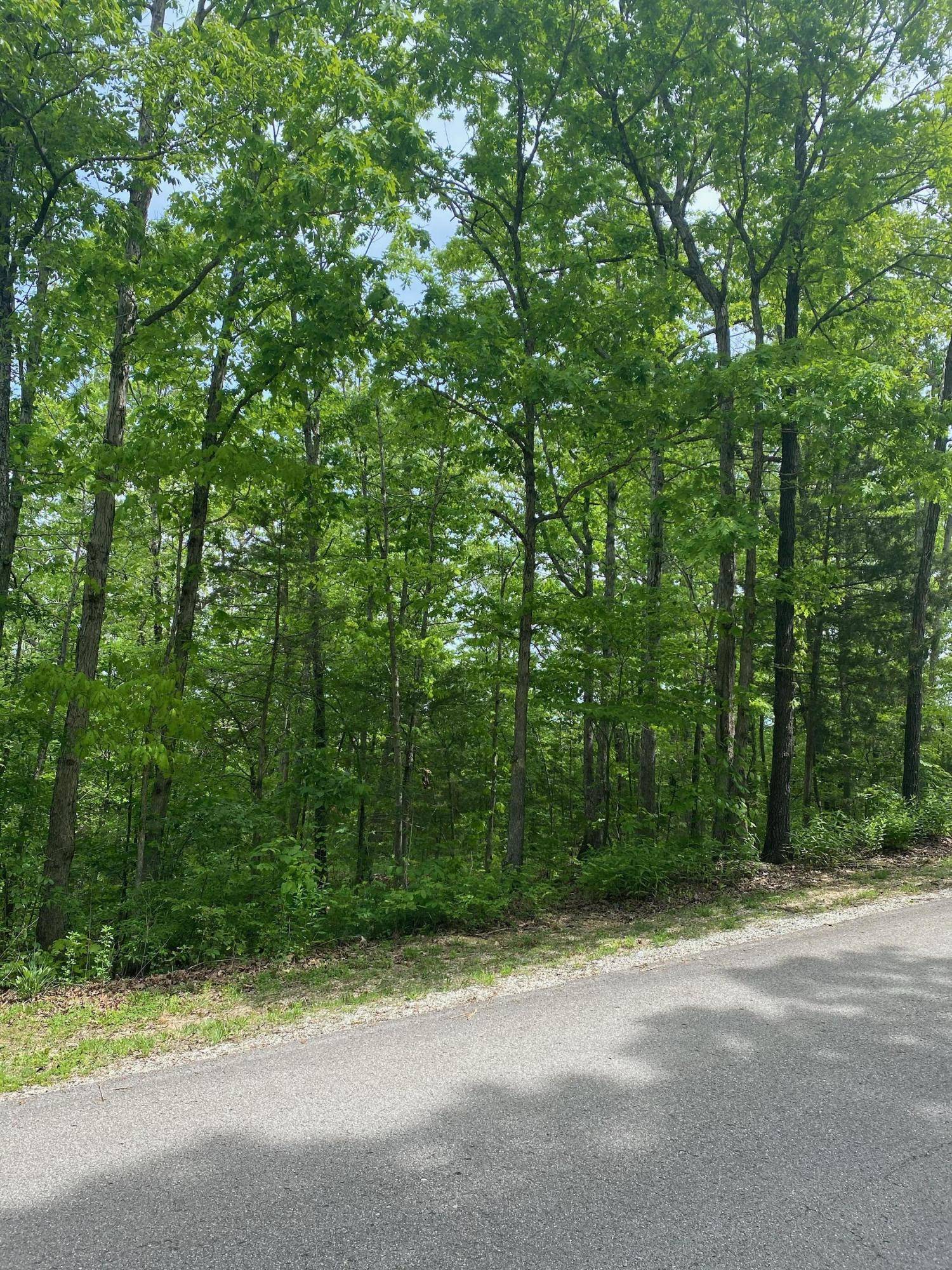 0 Silver Cliff WAY, Branson West, MO 65737