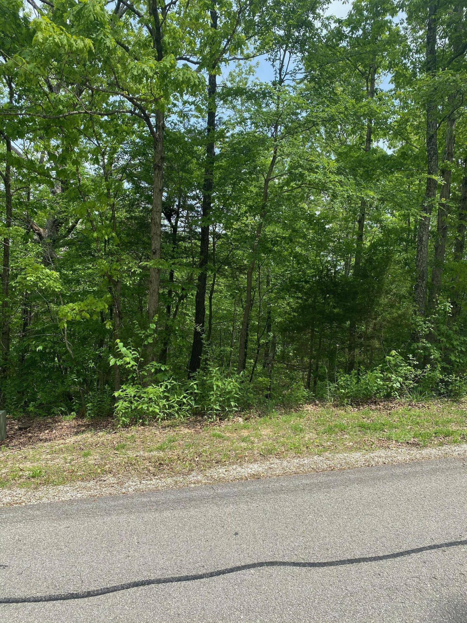 0 Silver Cliff WAY, Branson West, MO 65737