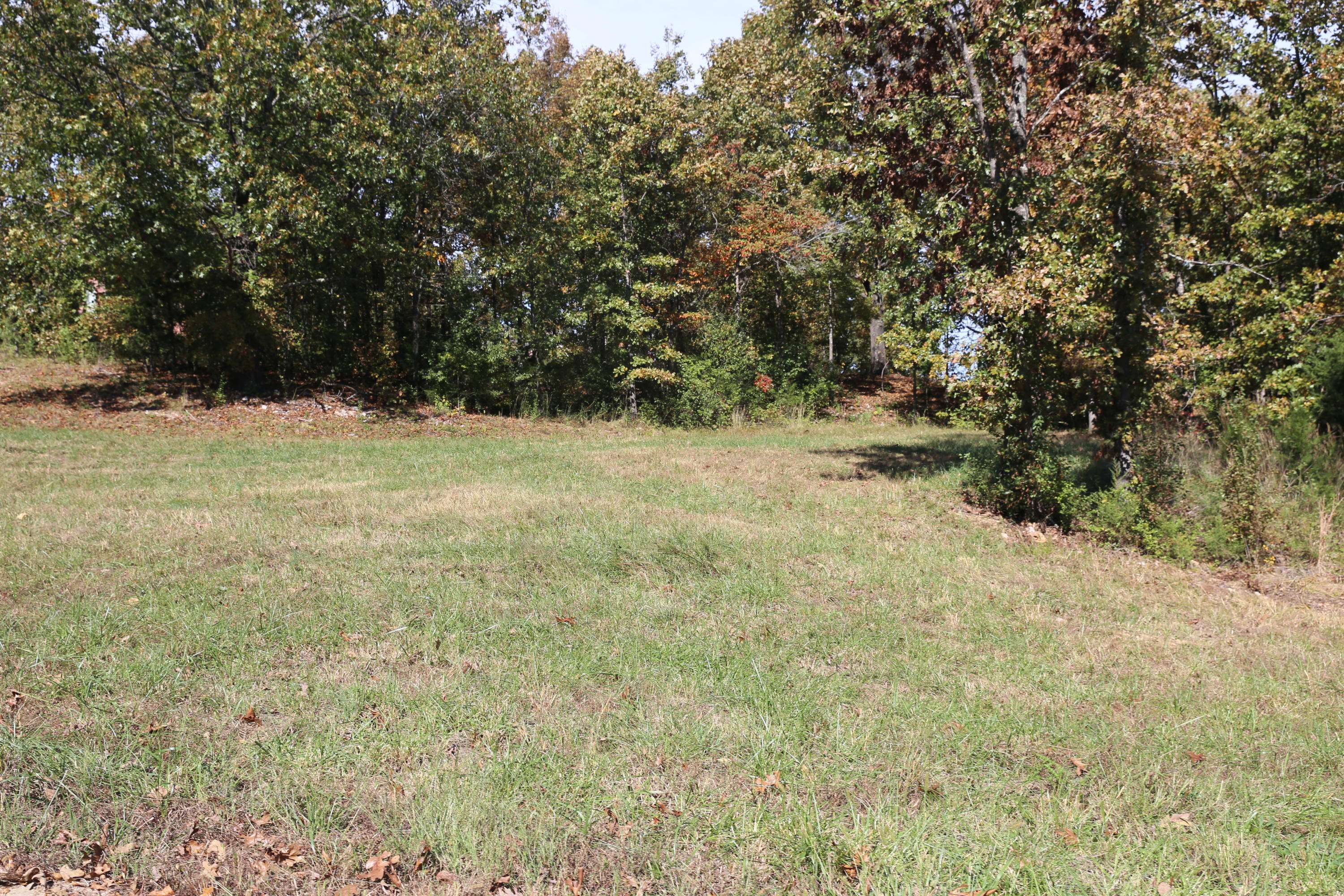 000 Wild Turkey RD #Block 1 Lot 1, West Plains, MO 65775