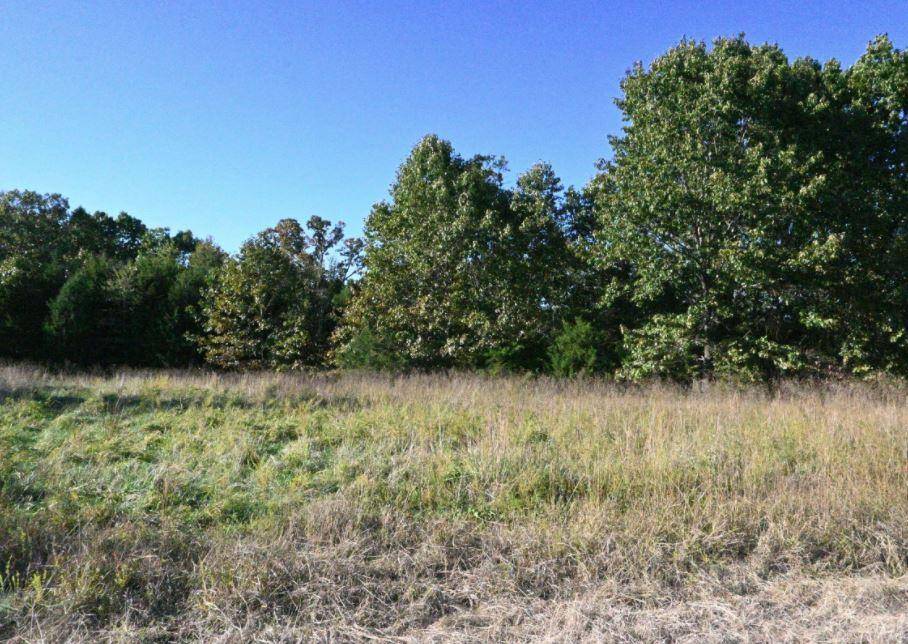 Lot 6 Stoney Point CIR, Shell Knob, MO 65747