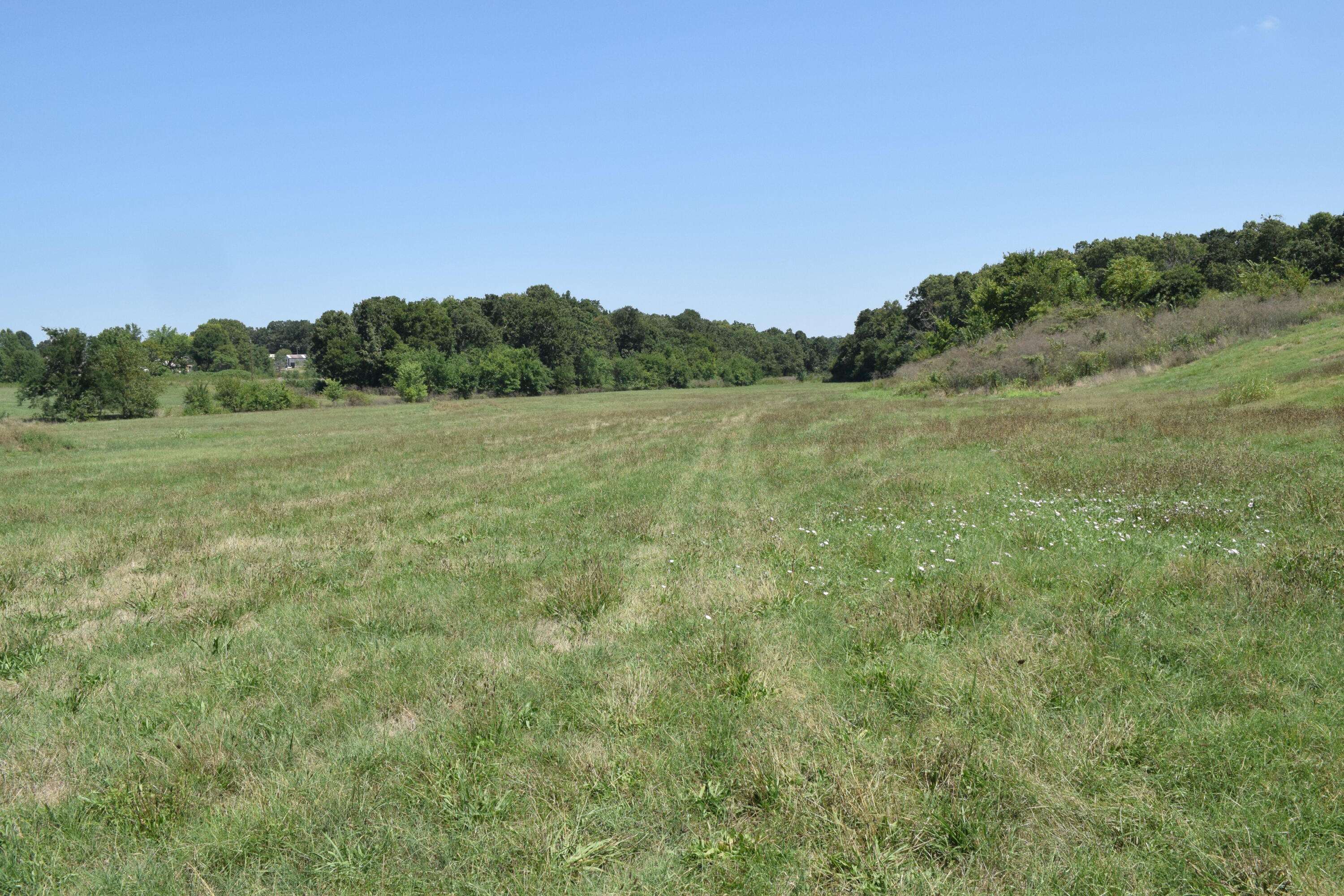 000 County Road 1090, Monett, MO 65708