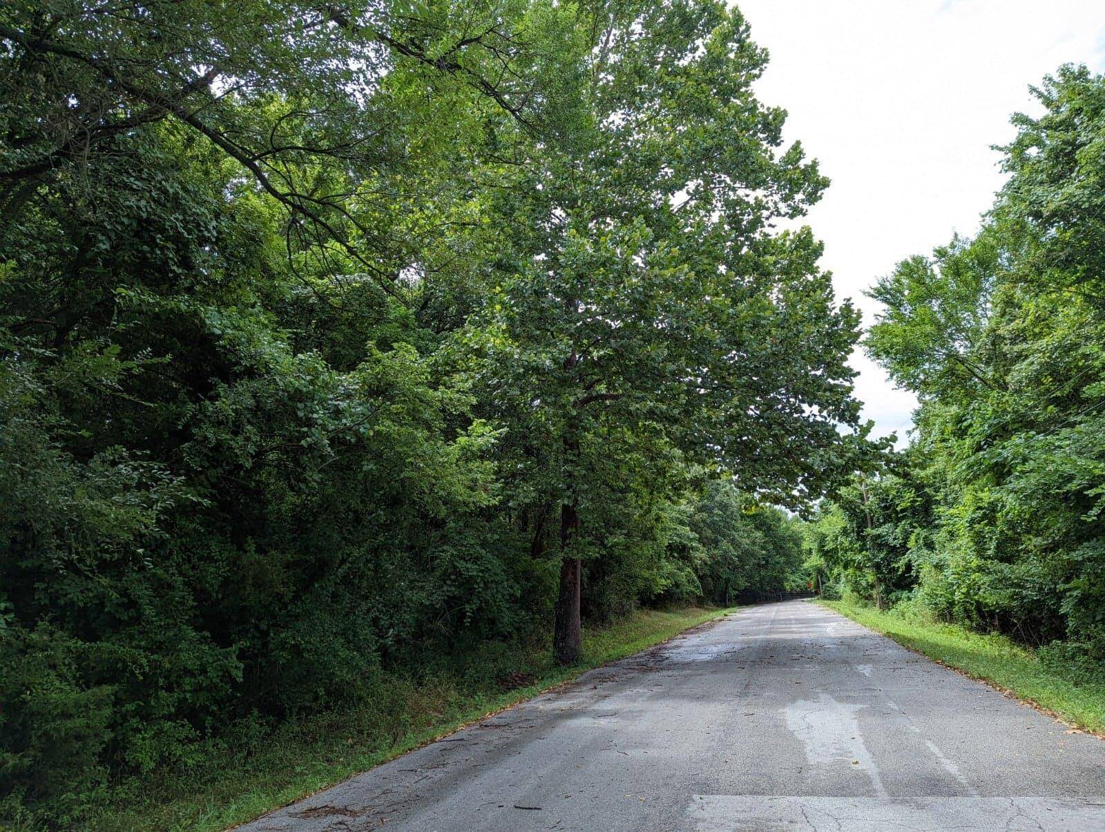 Lot 4 N Farm Road 139, Springfield, MO 65803