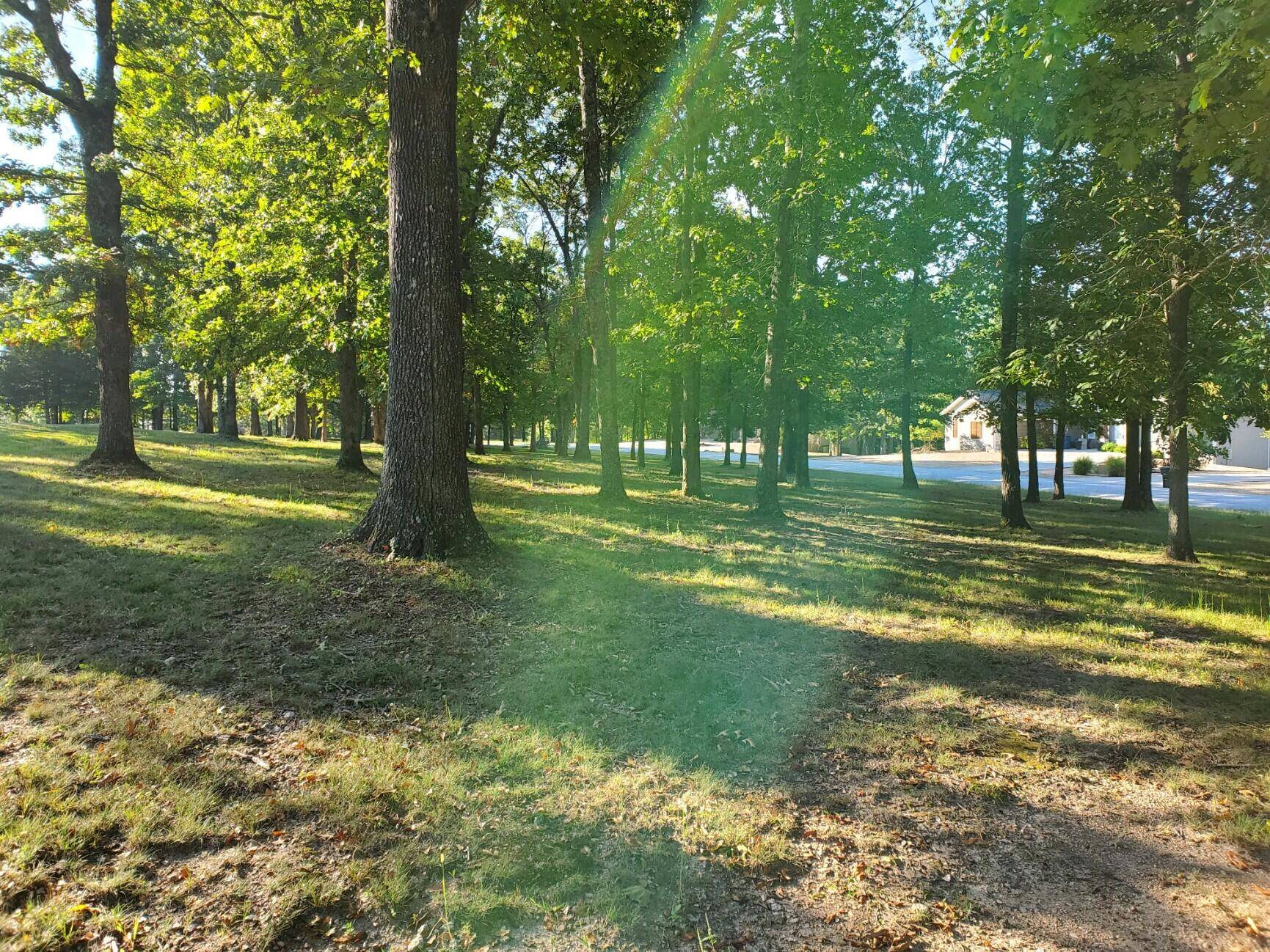 22009 Mill Creek WAY, Shell Knob, MO 65747