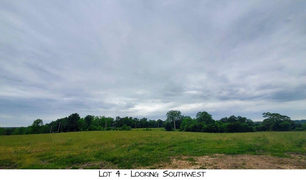 Lot 4 Pleasant View Rd, Brighton, MO 65617