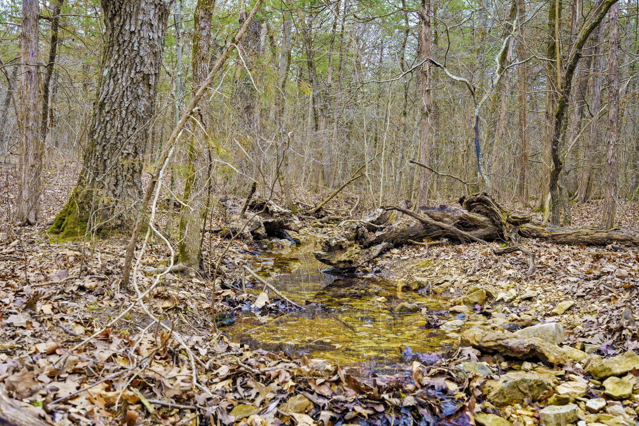 Tbd Alyeska Point RD, Lampe, MO 65681