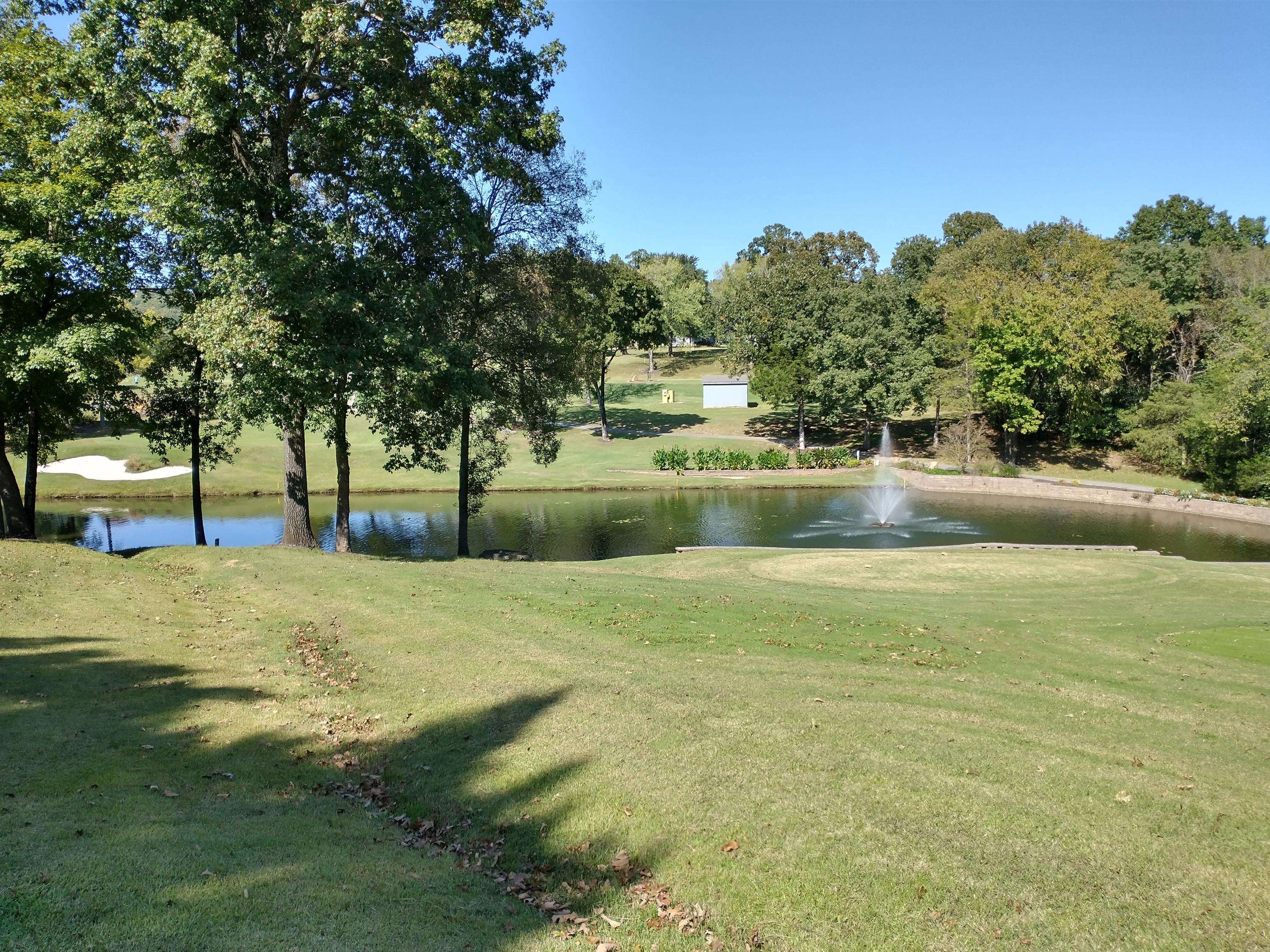 329 Lancashire DR, Branson, MO 65616