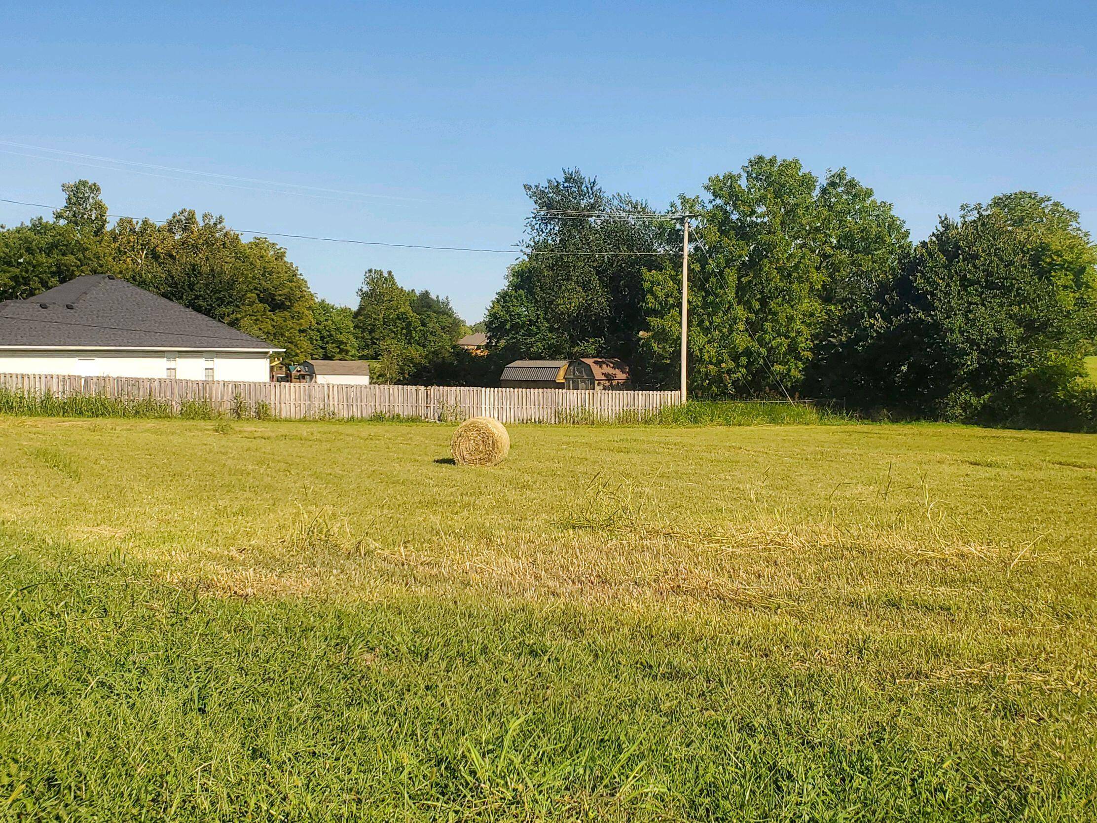 000 S Highway H, Pleasant Hope, MO 65725