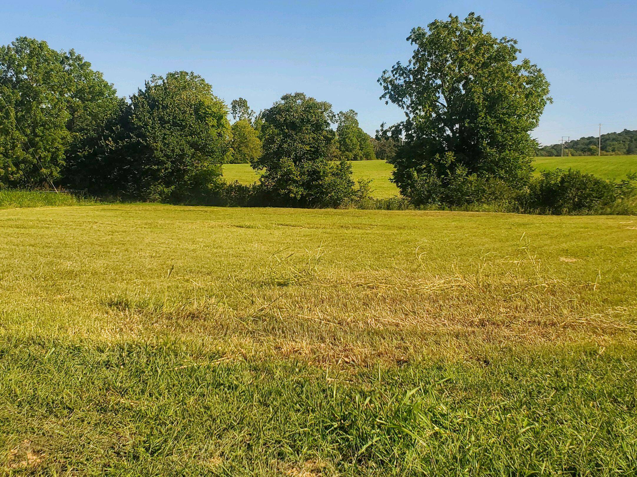 000 S Highway H, Pleasant Hope, MO 65725