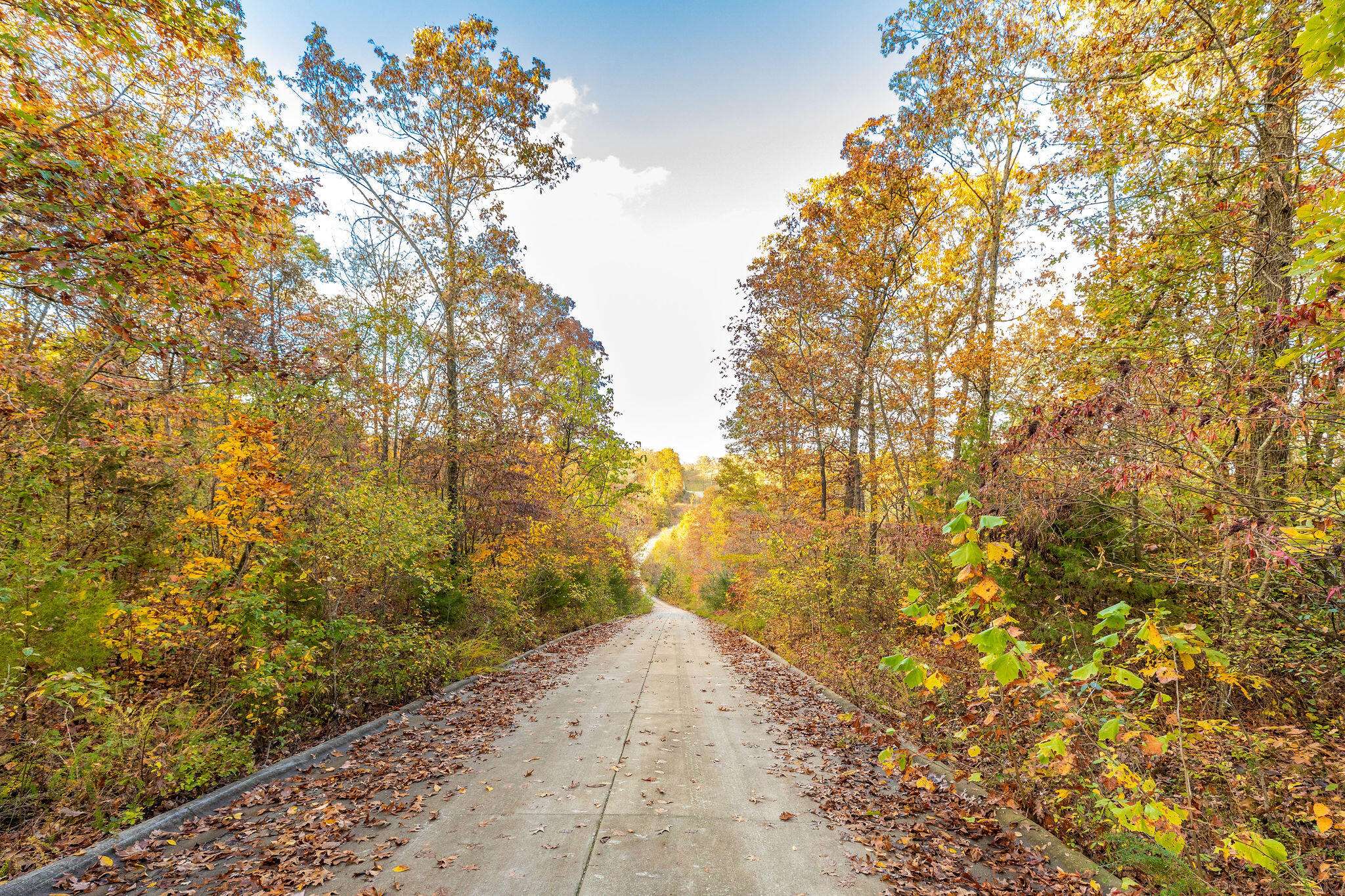 0 Golden Bay Estates, Golden, MO 65658