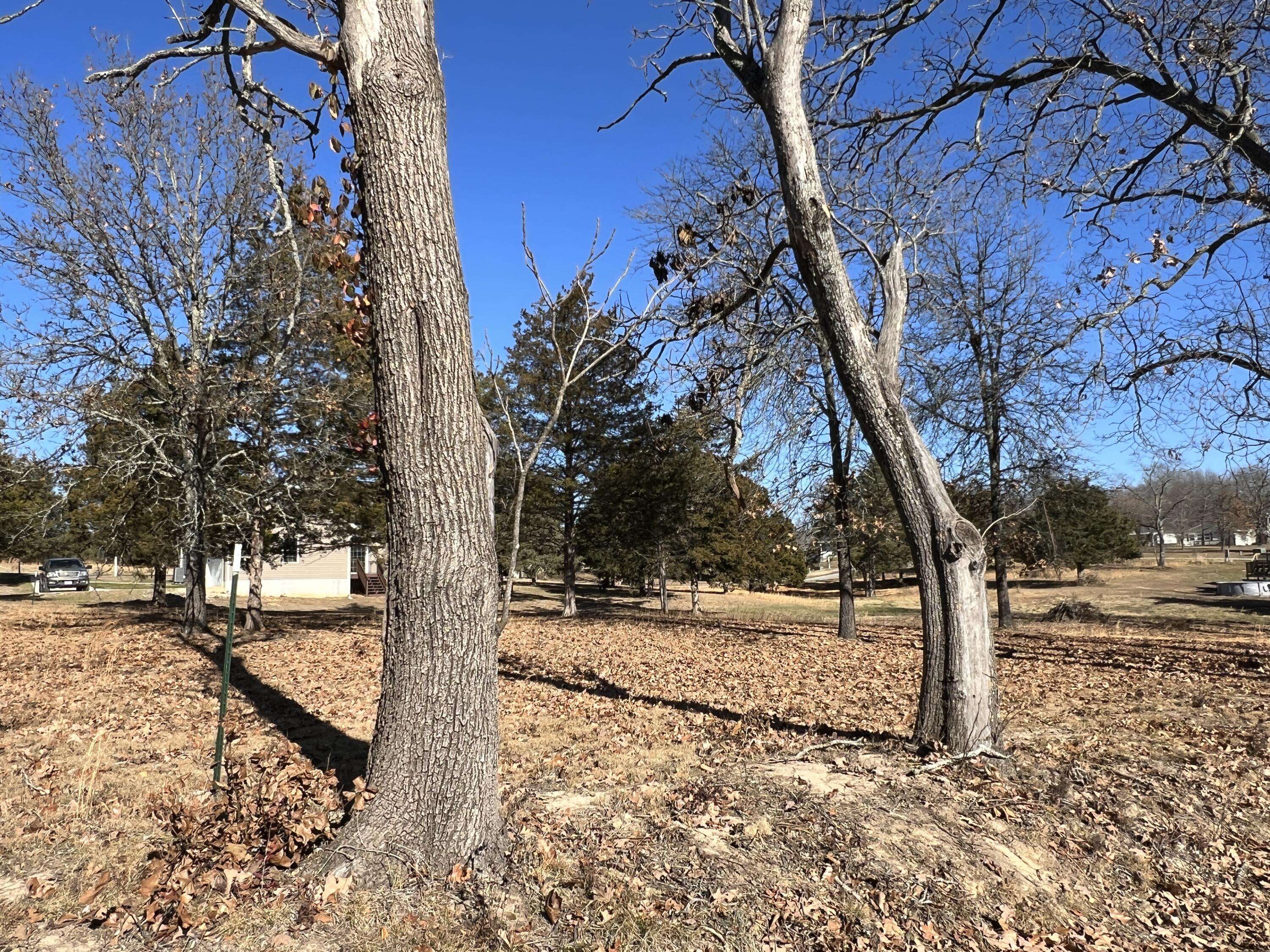 4 S Center ST, Willow Springs, MO 65793