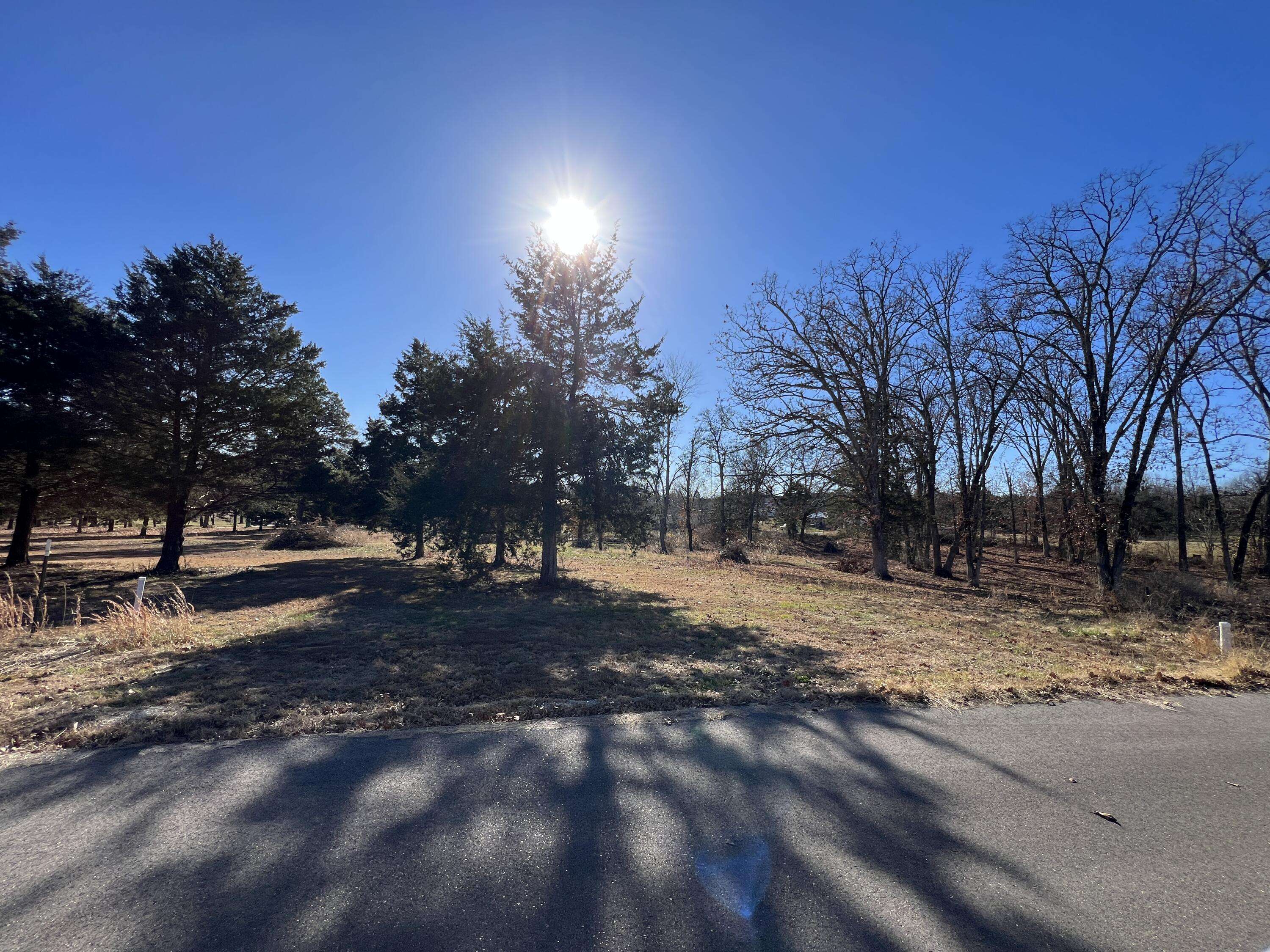 9 Cedar LN, Willow Springs, MO 65793