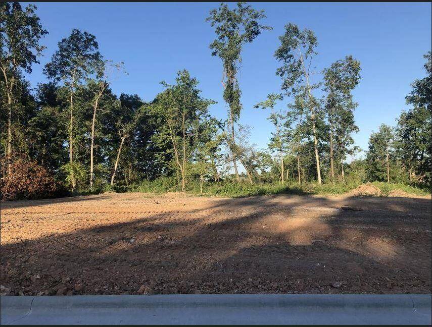 Lot 18 Anthony Park Subdivision Ph 4, Springfield, MO 65810