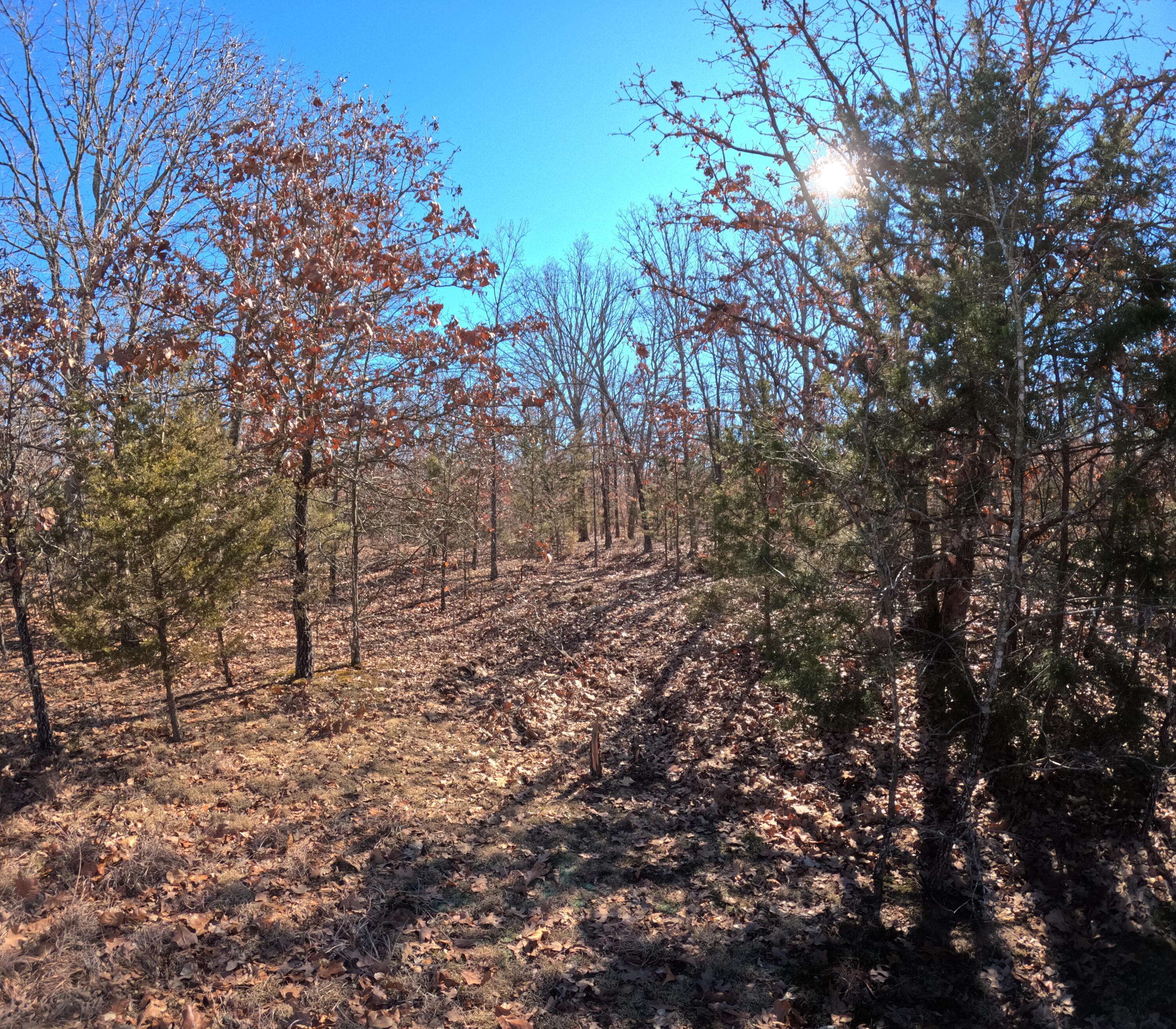 Tract G Golden LN, Lebanon, MO 65536