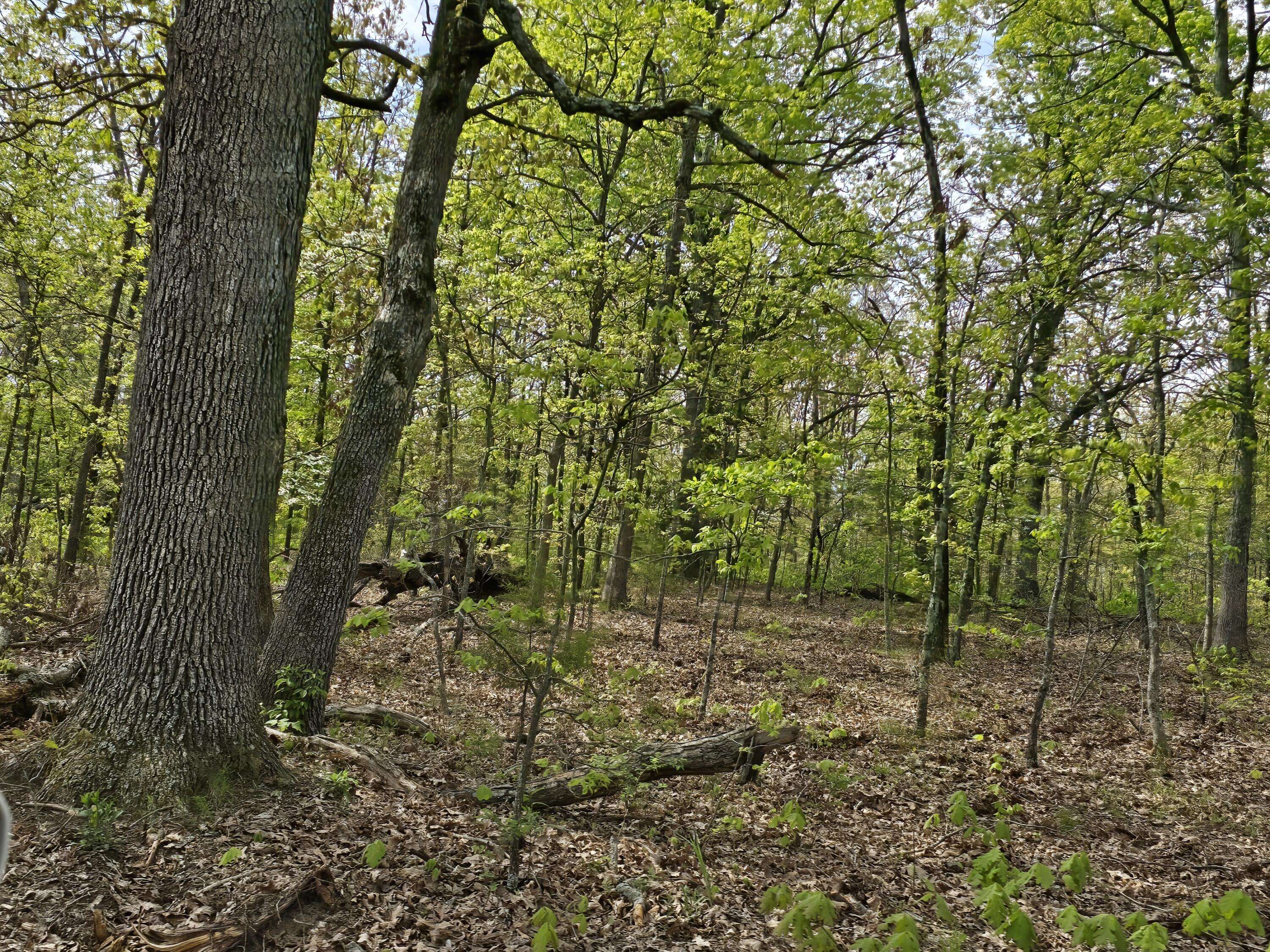 Tract D Golden LN, Lebanon, MO 65536