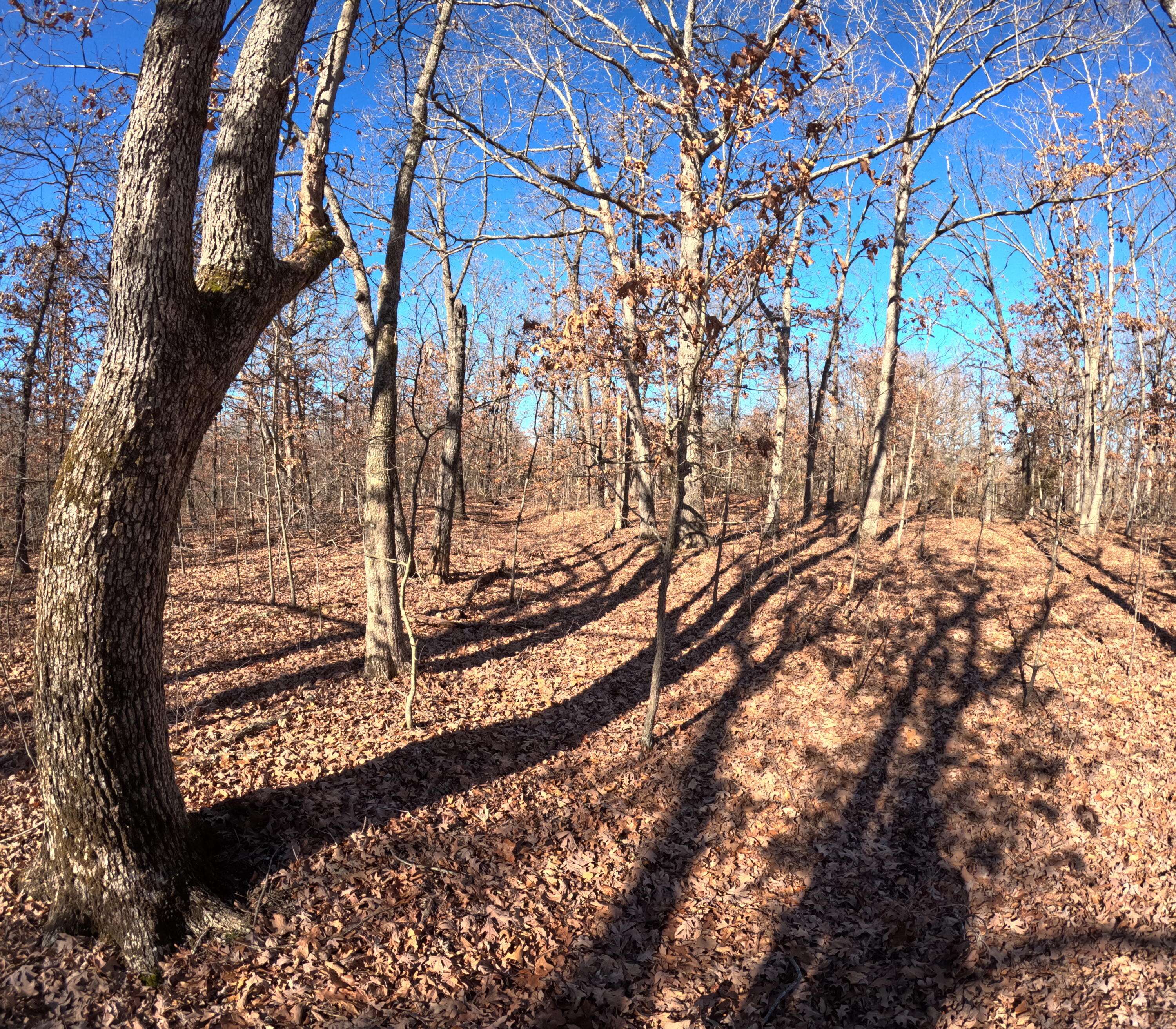 Tract T Greatview LN, Lebanon, MO 65536