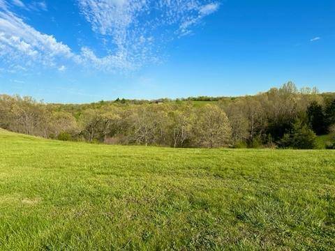 1078 Newbury RD, Reeds Spring, MO 65737