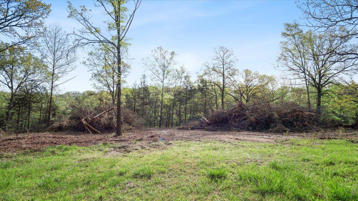 250 Vin Villa, Forsyth, MO 65653
