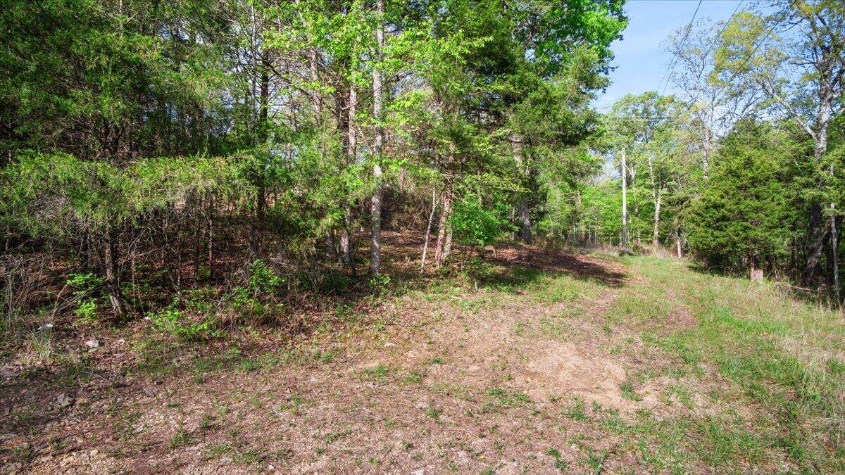 250 Vin Villa, Forsyth, MO 65653
