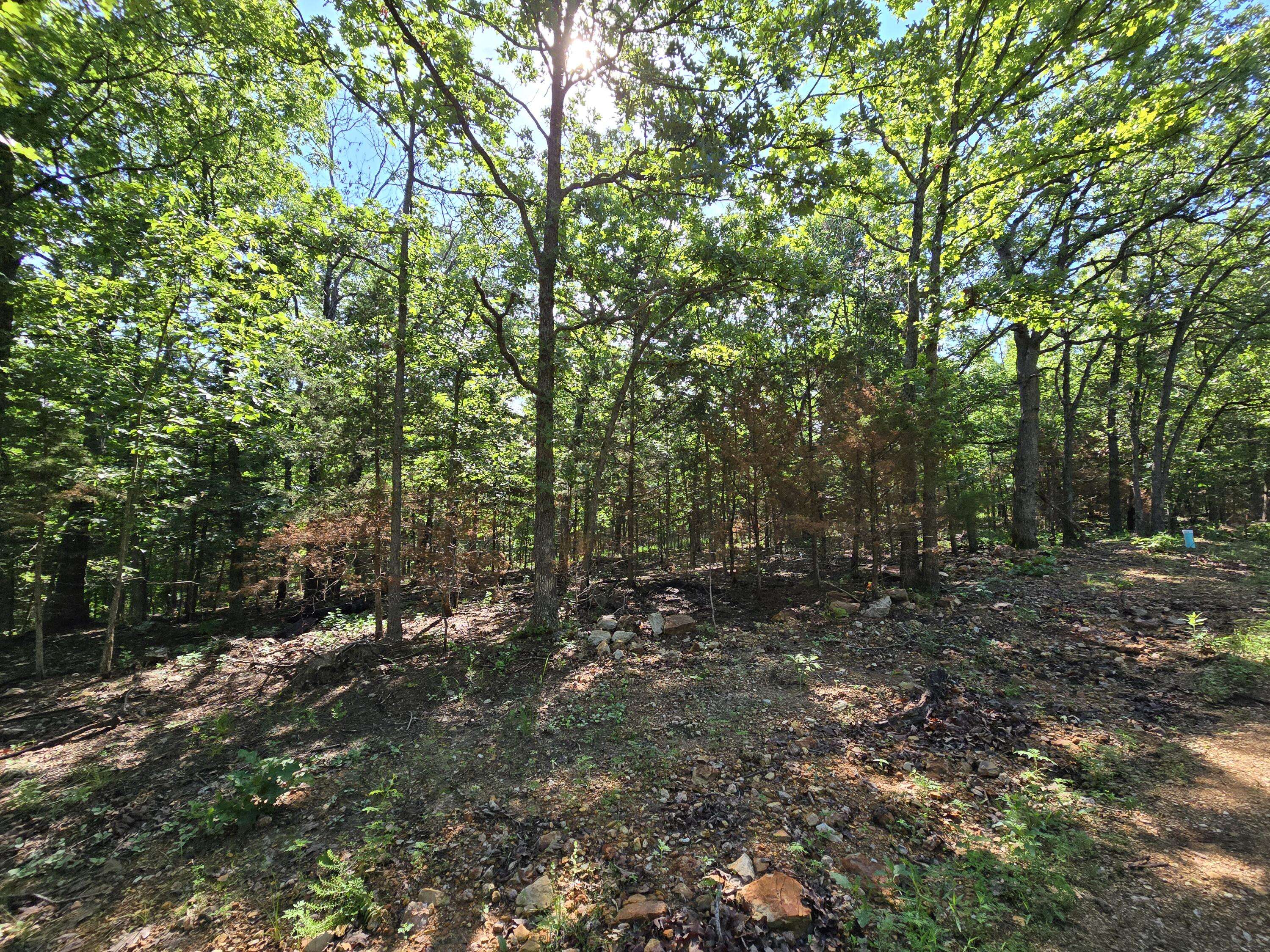 Lot 11 Block 12 Tall Oaks, Pittsburg, MO 65724