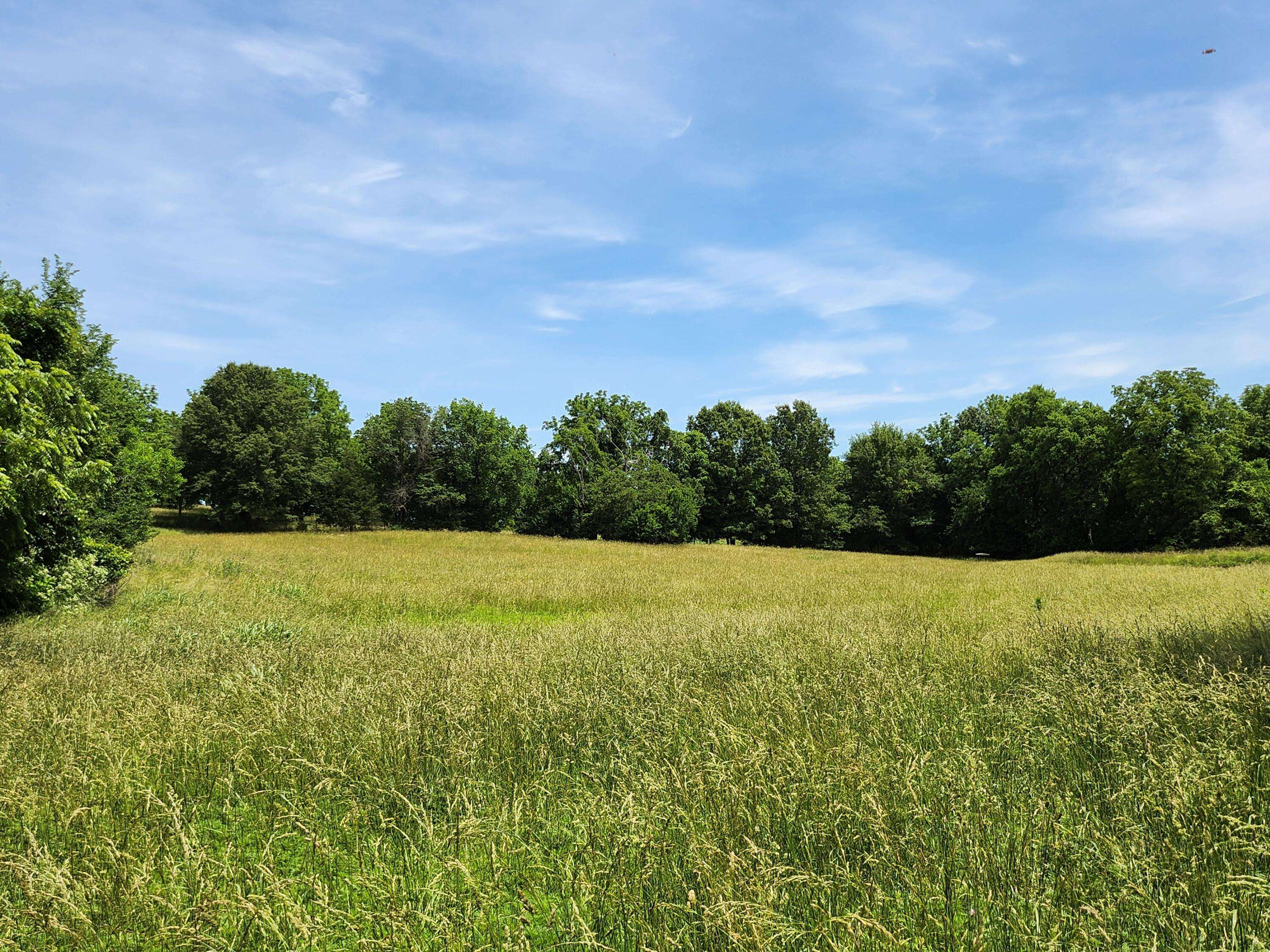 Lot 9 N Farm Road 61, Walnut Grove, MO 65770