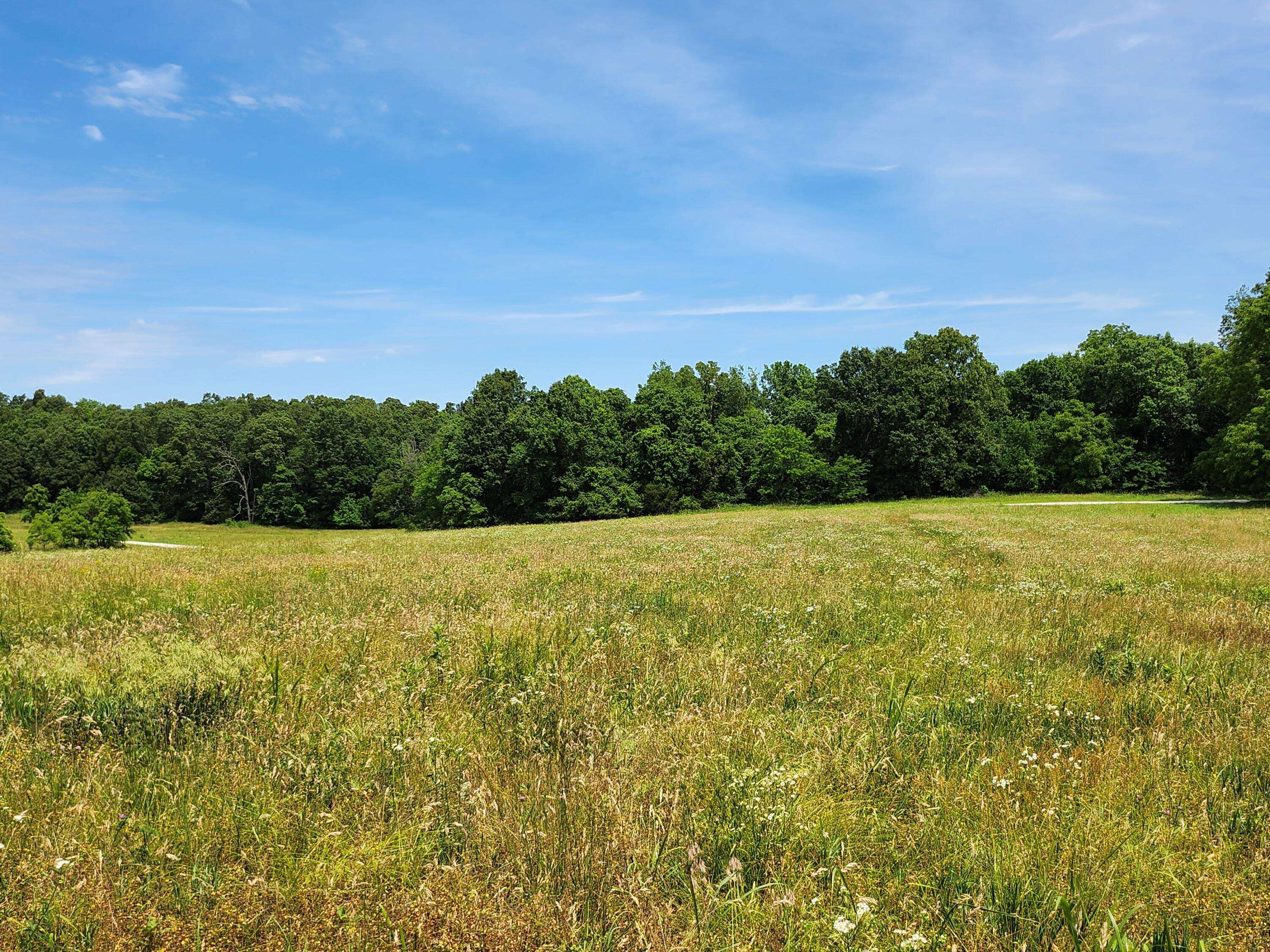 Lot 10 N Farm Road 61, Walnut Grove, MO 65770