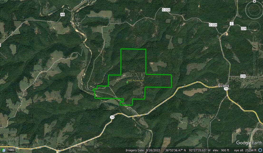 7064 County Road 14-223, Ava, MO 65608