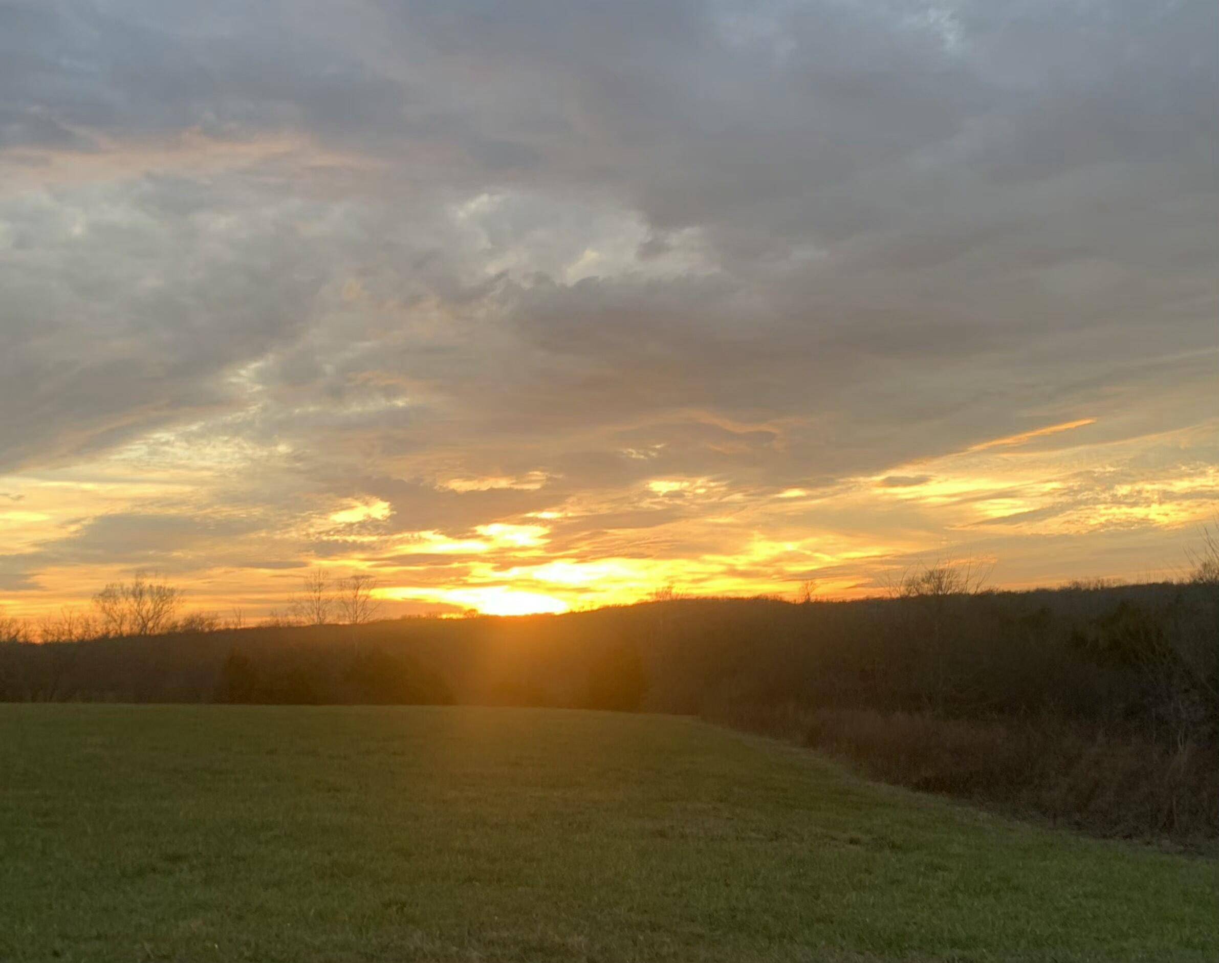 858 Kimberlin Mill Road, Clever, MO 65631