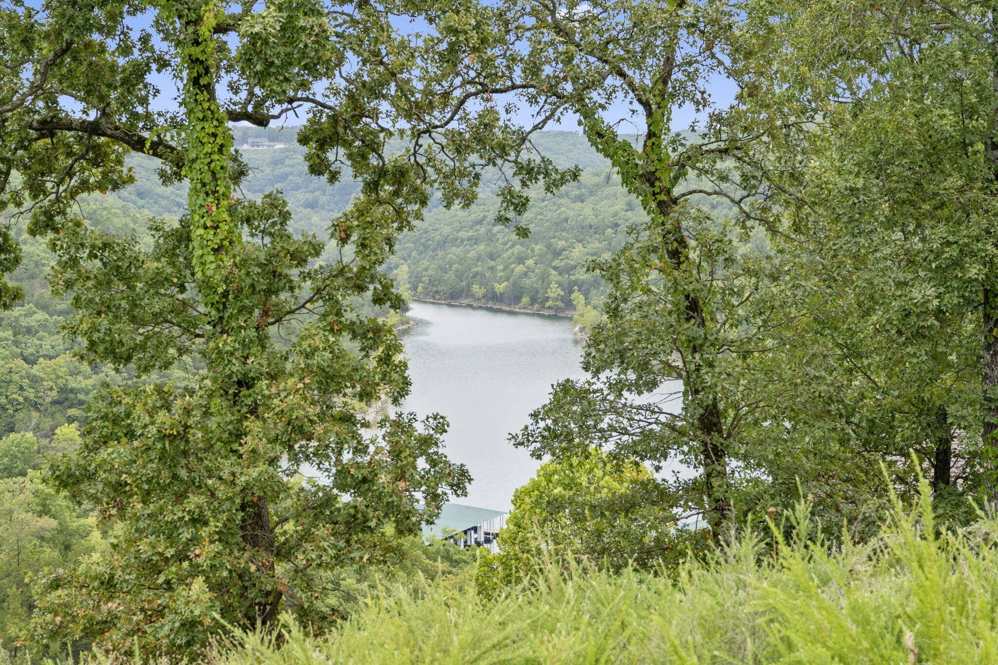Lot 94b Pinnacle Shores, Lampe, MO 65681