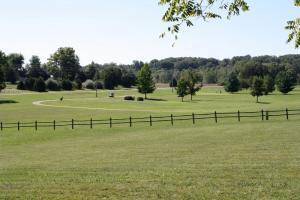 000 Sienna DR, West Plains, MO 65775