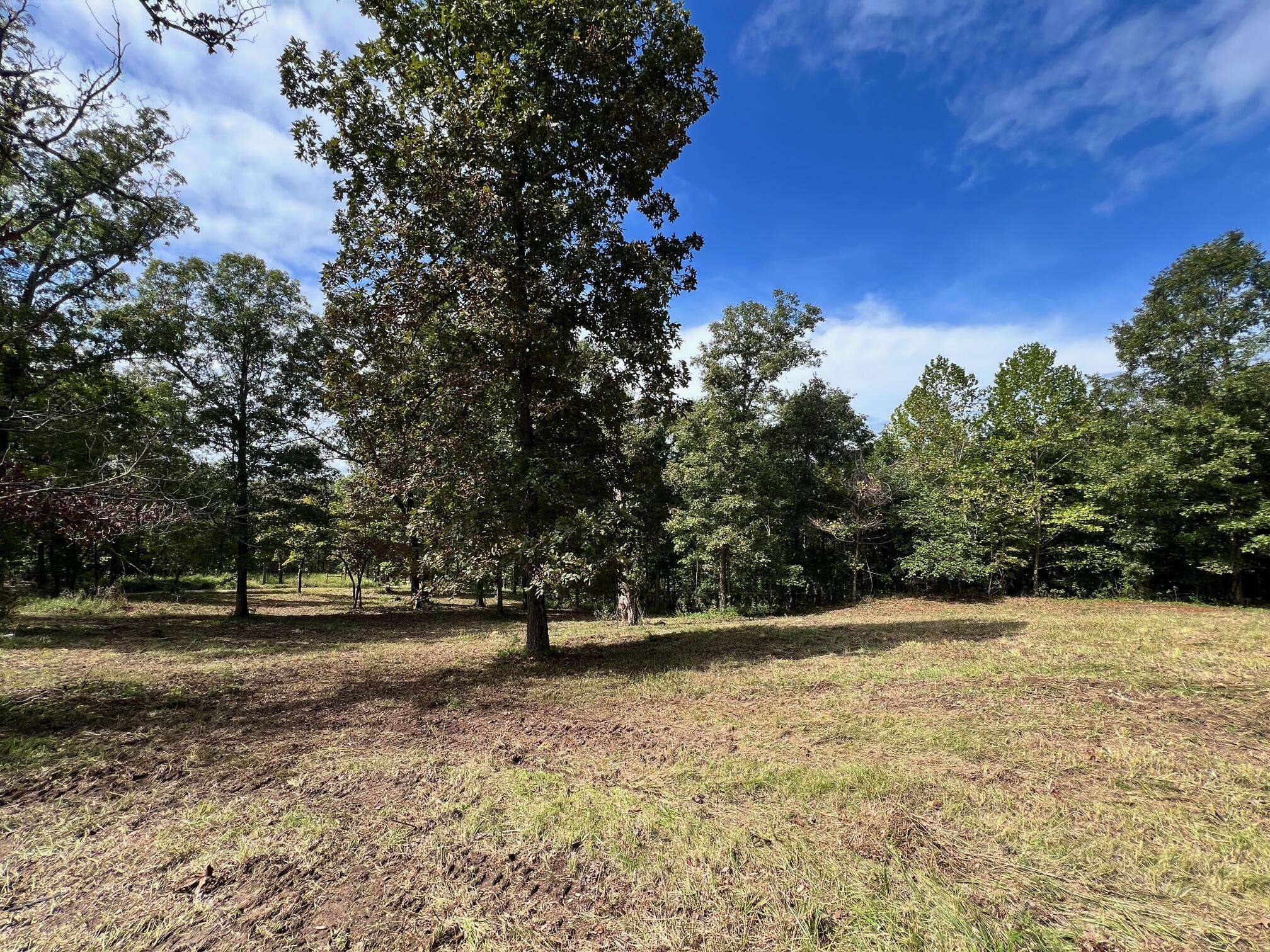 000 Rainbow Valley TRL, Mammoth Spring, AR 72554