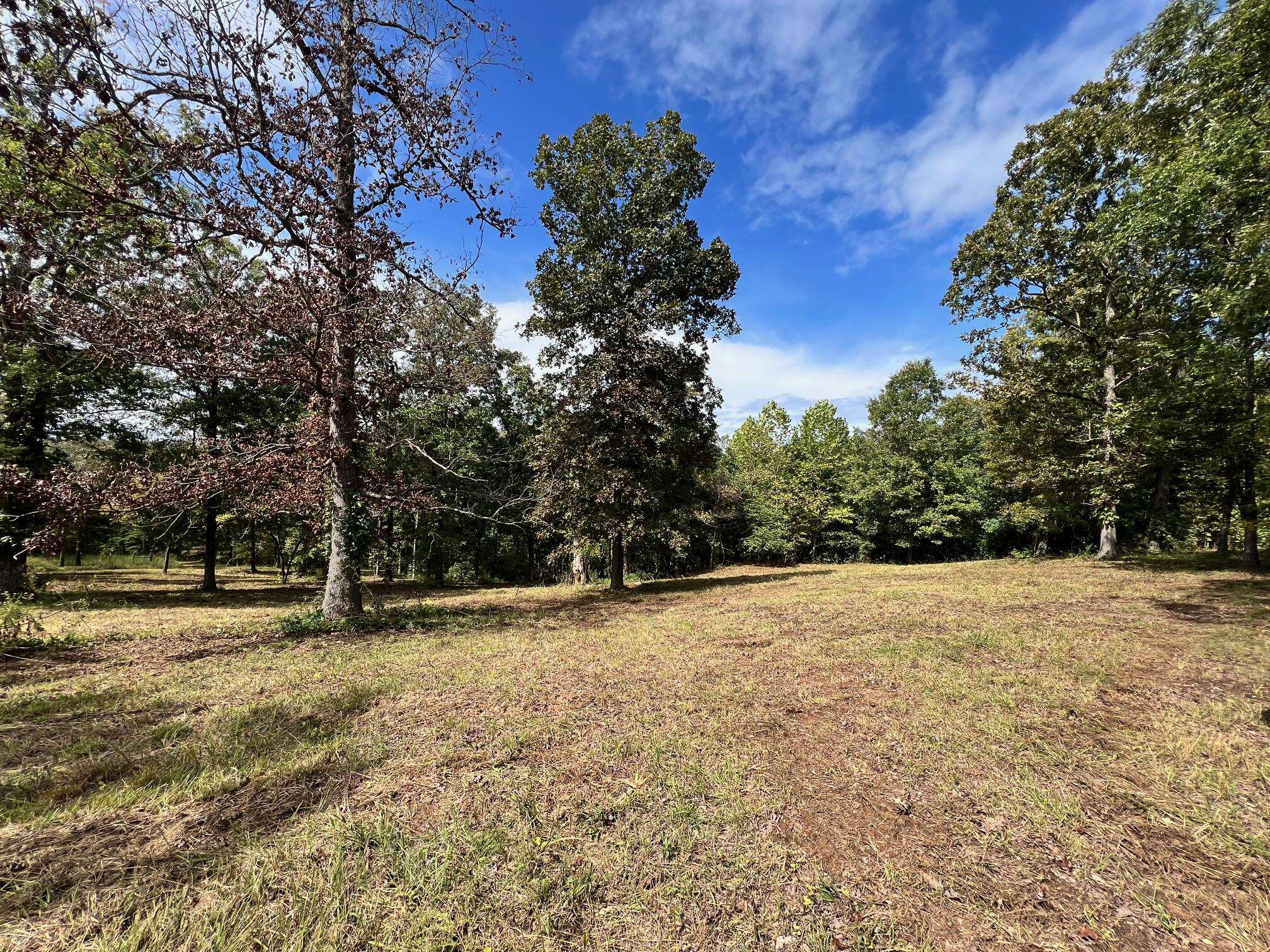 000 Rainbow Valley TRL, Mammoth Spring, AR 72554