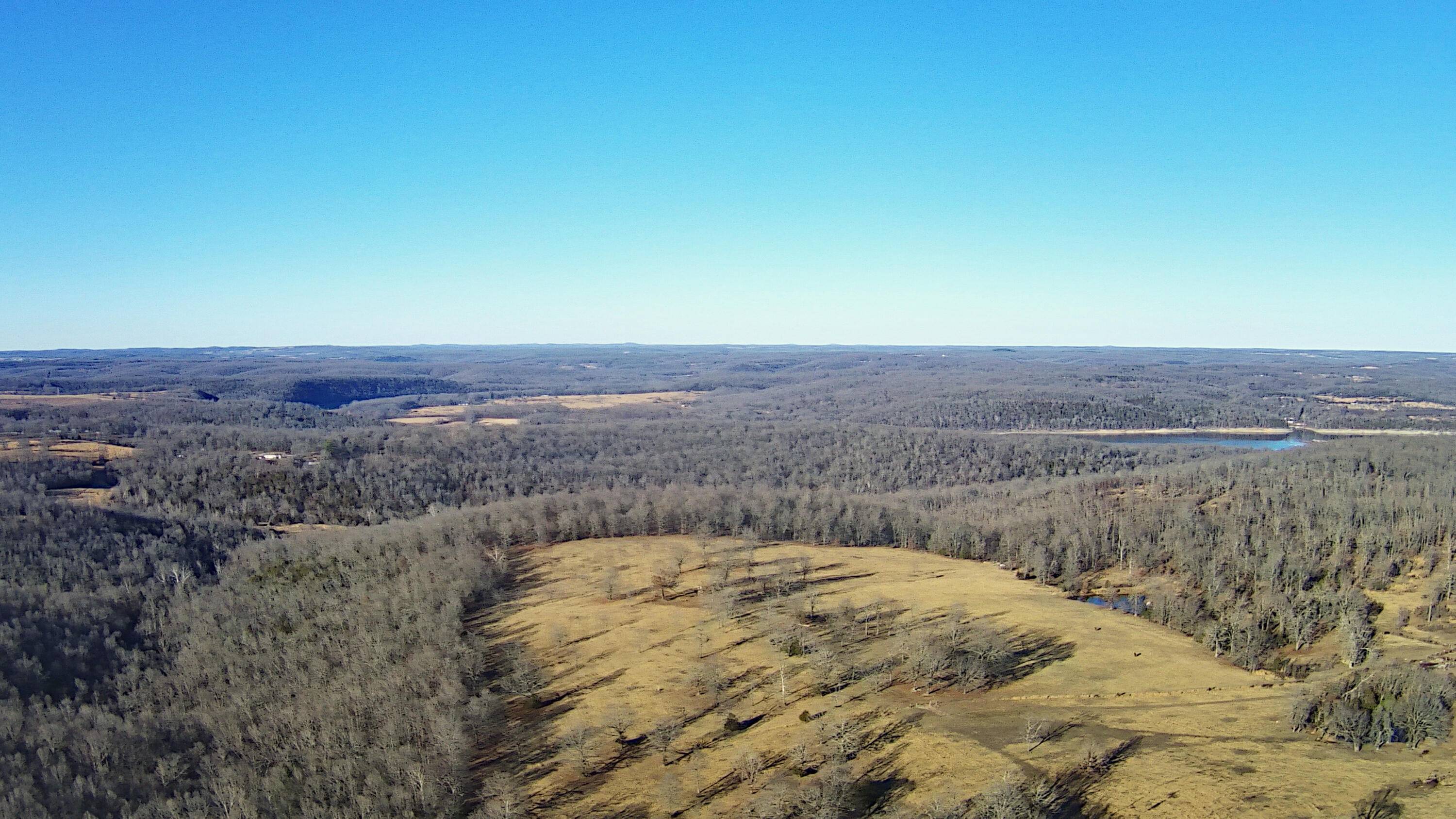Tbd County Road 553a, Gainesville, MO 65655
