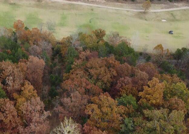 Lot 15 Shinnecock Hills DR, Branson, MO 65616