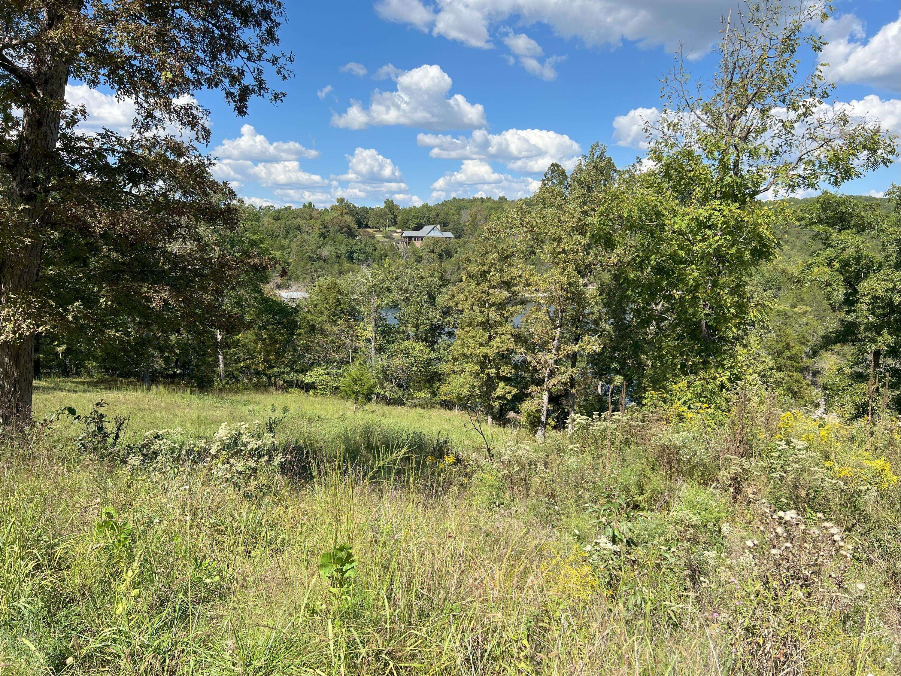 #8 Ledge Rock LN #Lot 8, Omaha, AR 72662