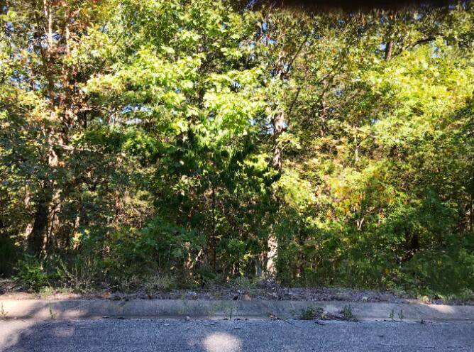 000 Skylee Dr #247, Hollister, MO 65672